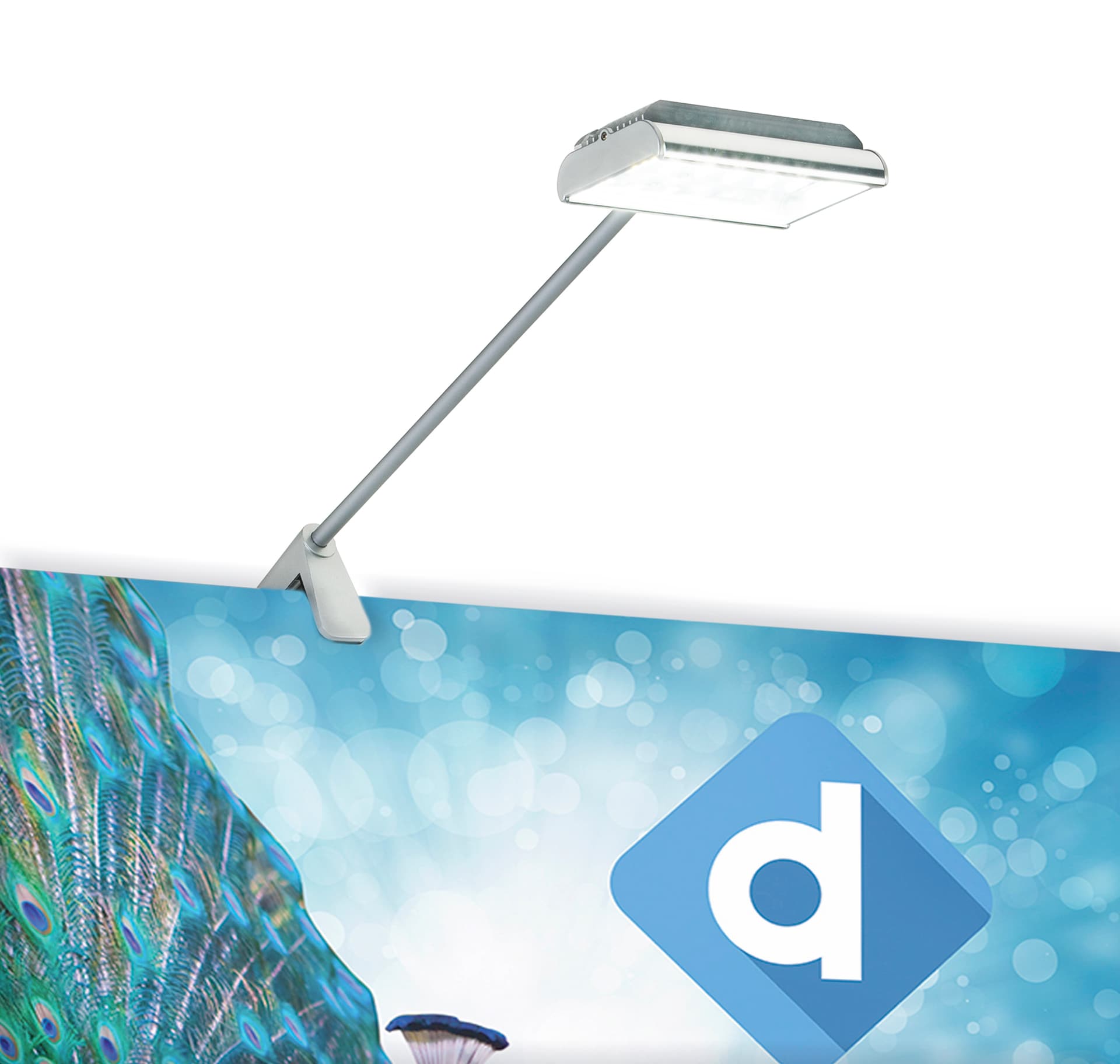 LED display arm lights with bright white flood lighting