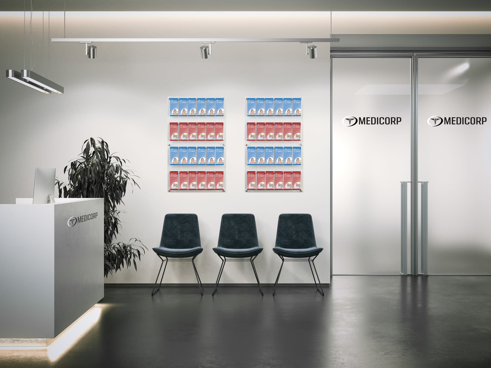 29 inch x 47.5 inch wall mounted acrylic literature display in medical facility