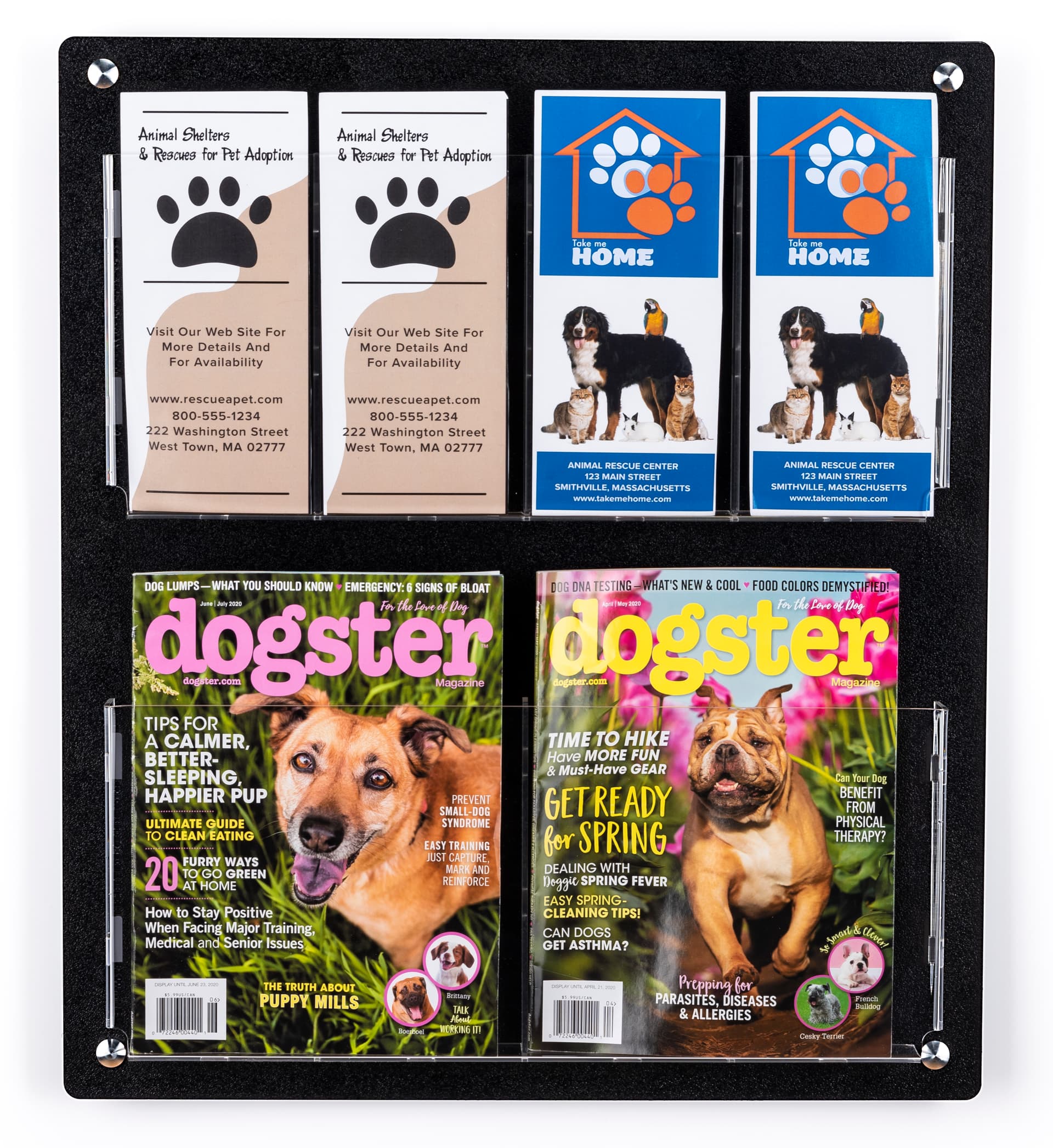 Magazine rack for wall with 4 stainless steel standoffs 