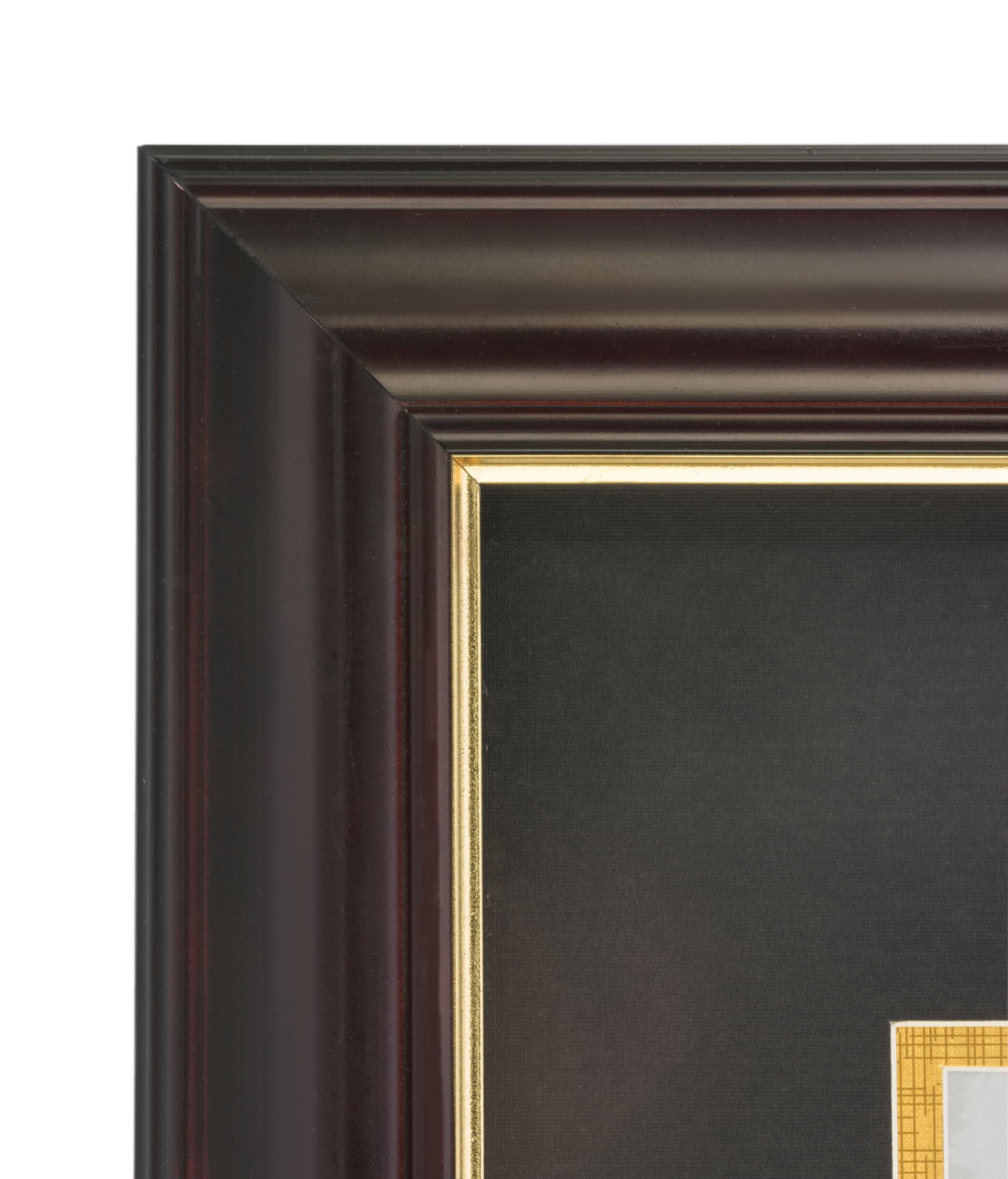 Dual Vertical Diploma Frame is Decorative