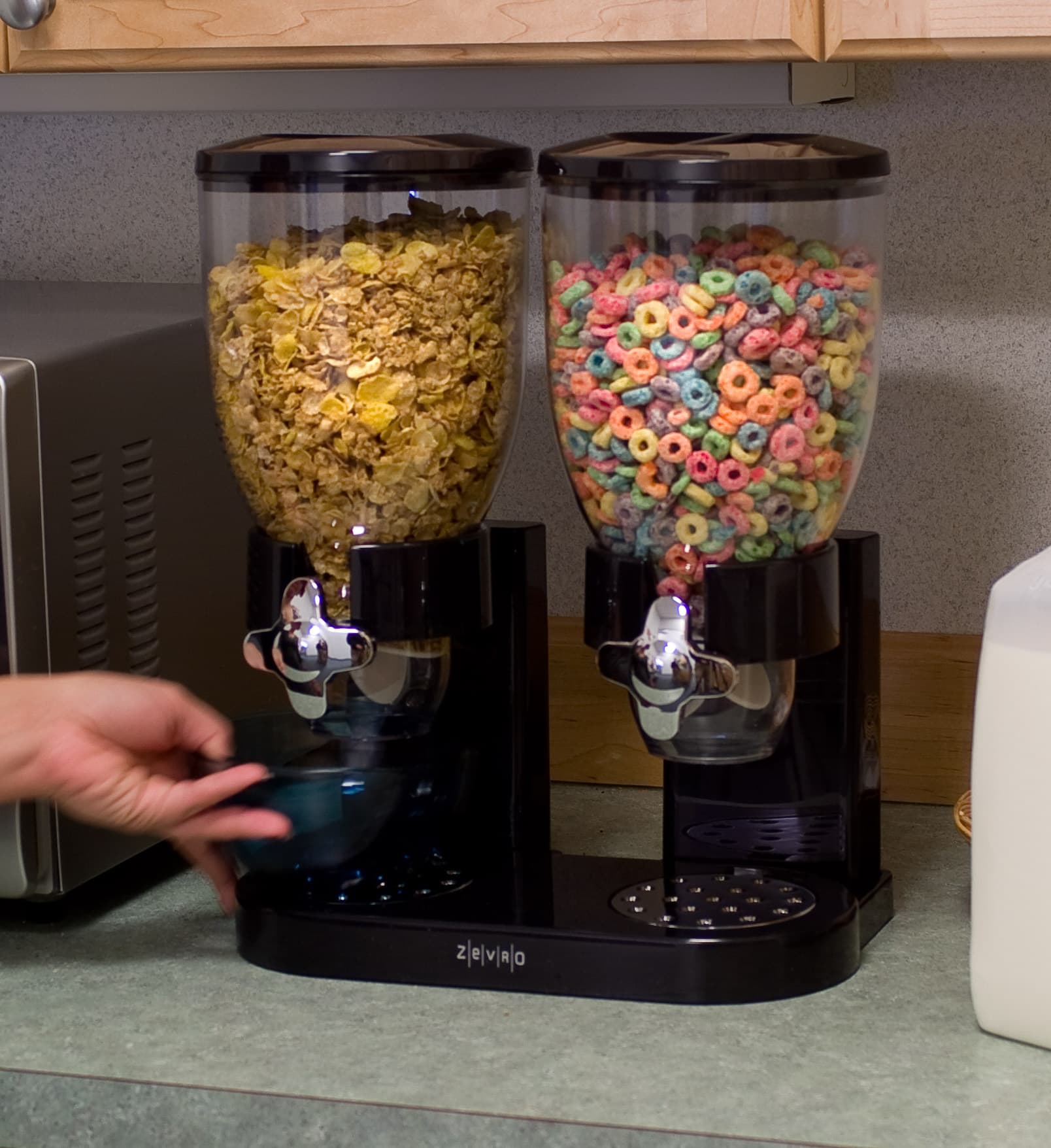 dry food dispenser