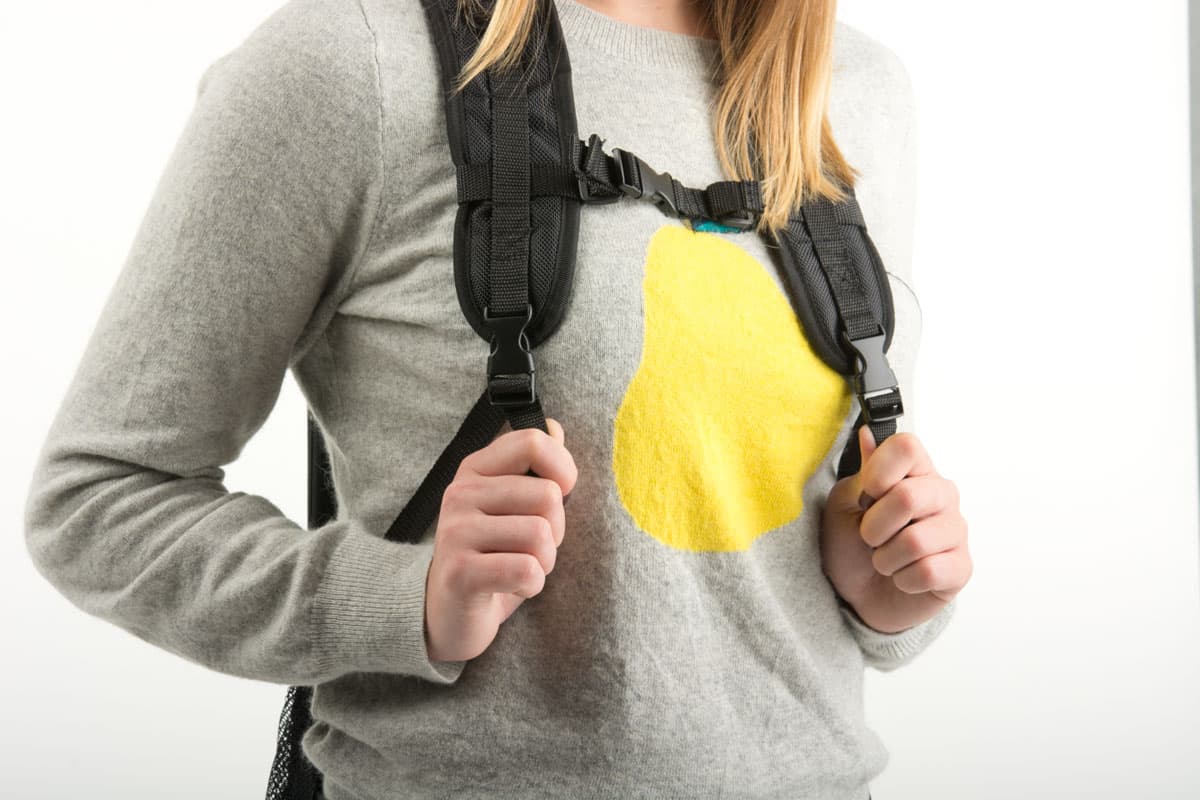Back Pack Flags