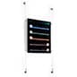 Sign Holders with Wall Mount Cable - Clear