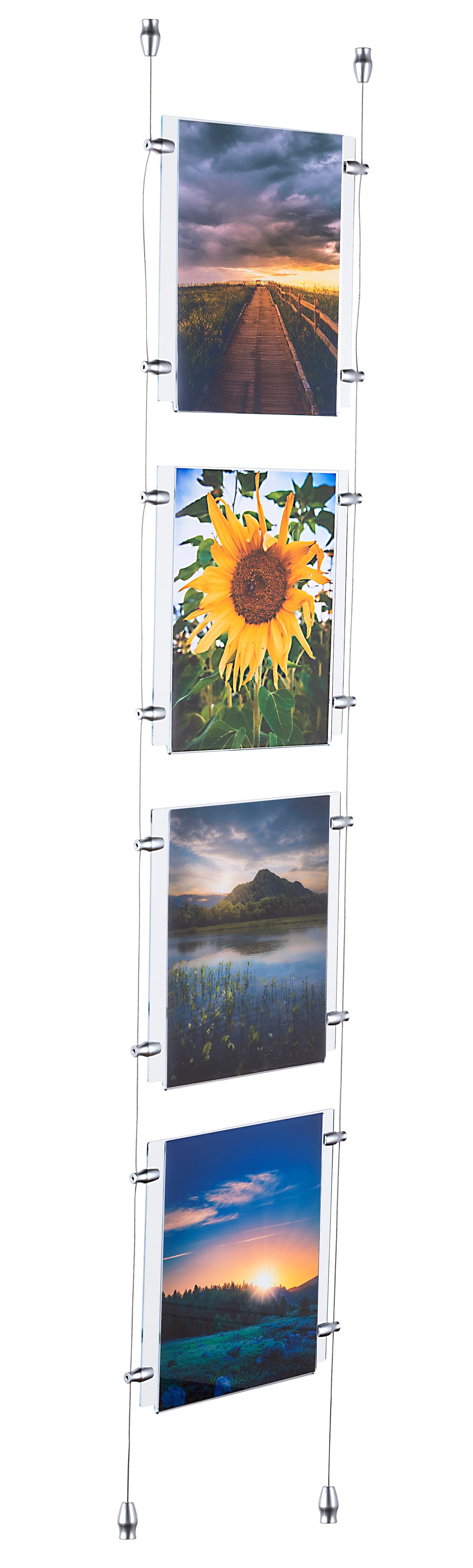 window advertising signs