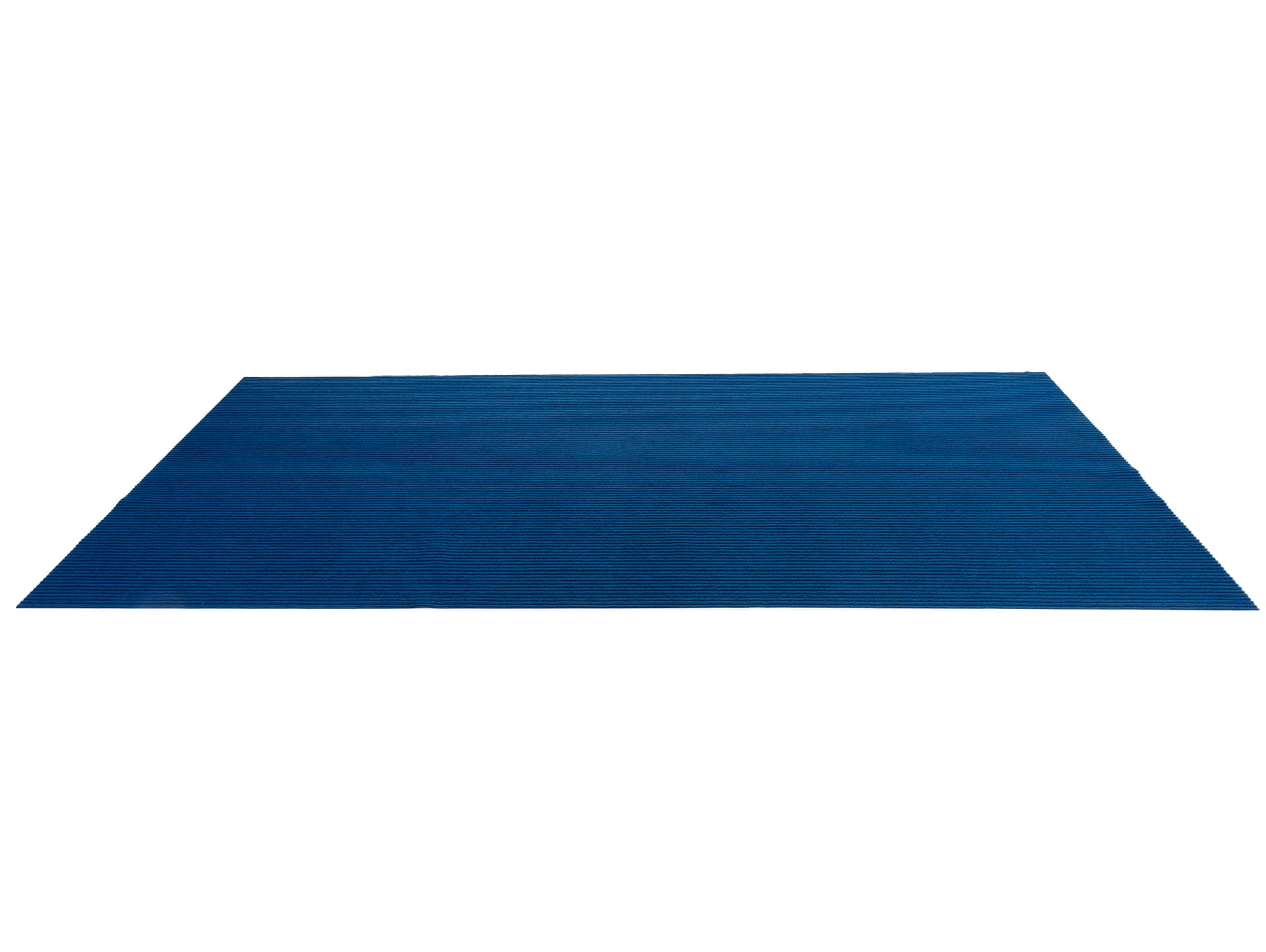 Thick 10’ roll carpet runner