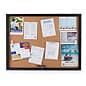 Enclosed Cork Board with Locking Doors