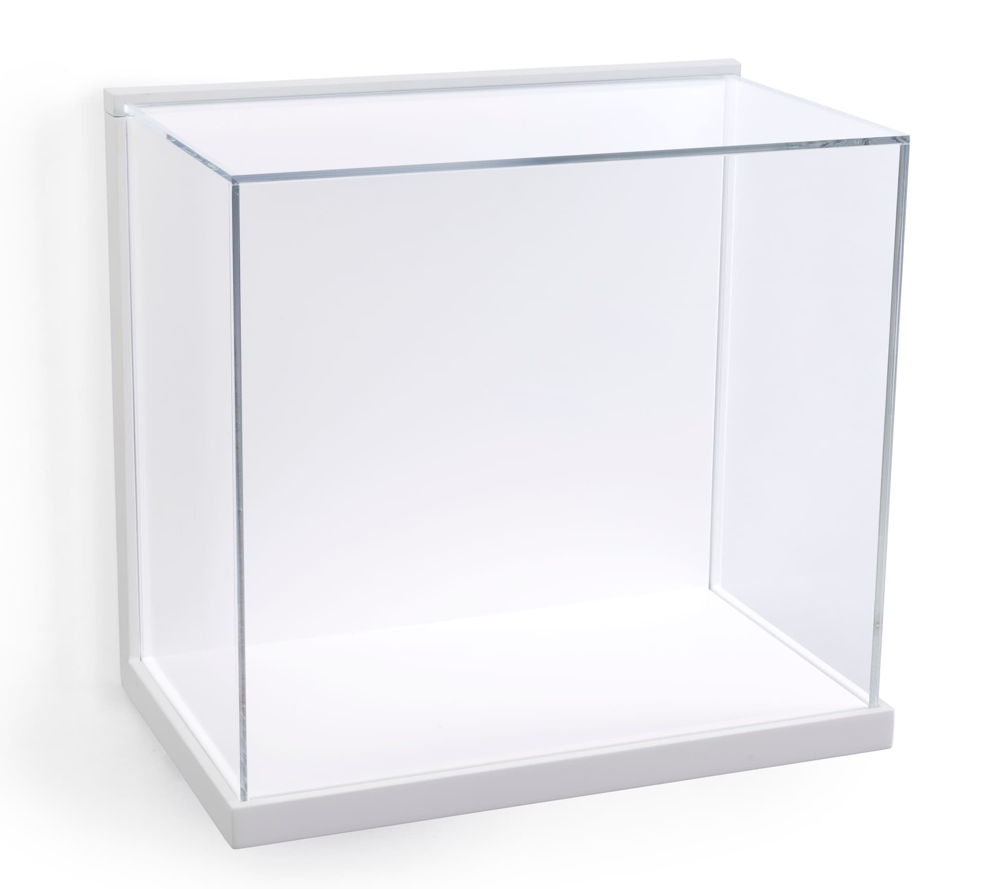 Museum Style Wall Vitrine with White Backer and Base
