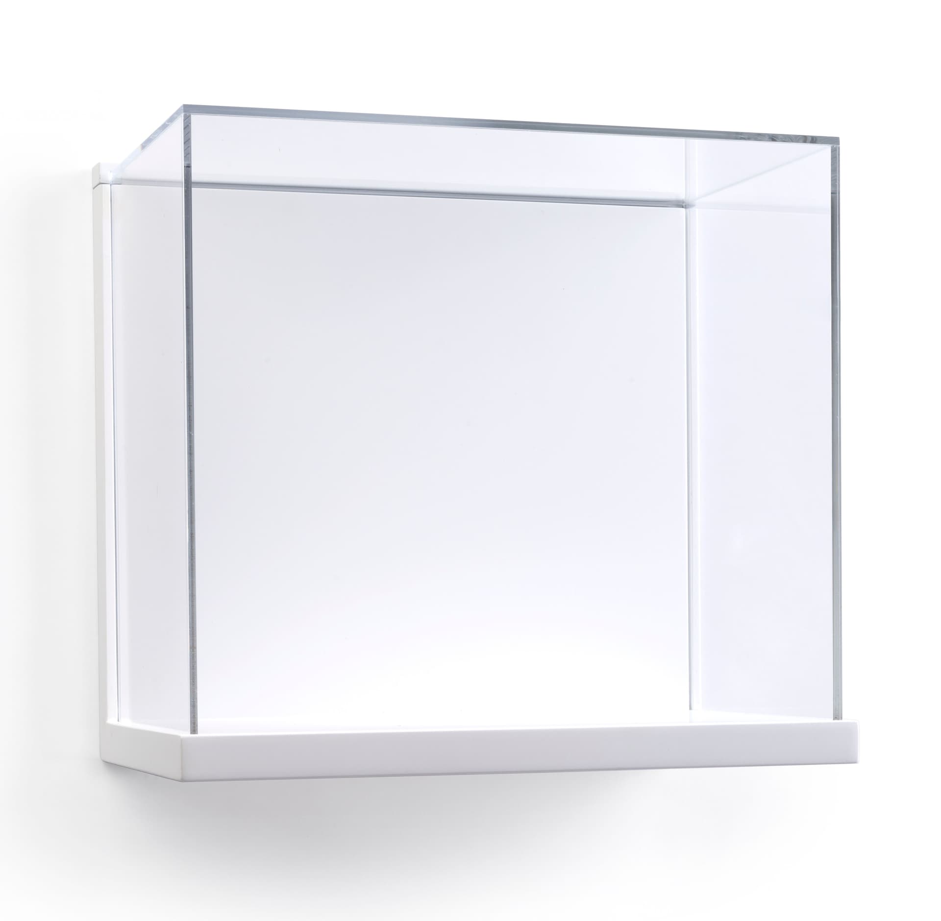 15.5" Wide Museum Style Wall Vitrine