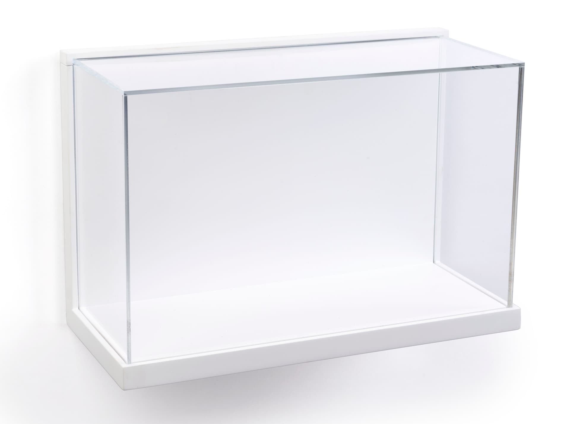Museum Style Wall Mount Display Box with Clear Acrylic Enclosure