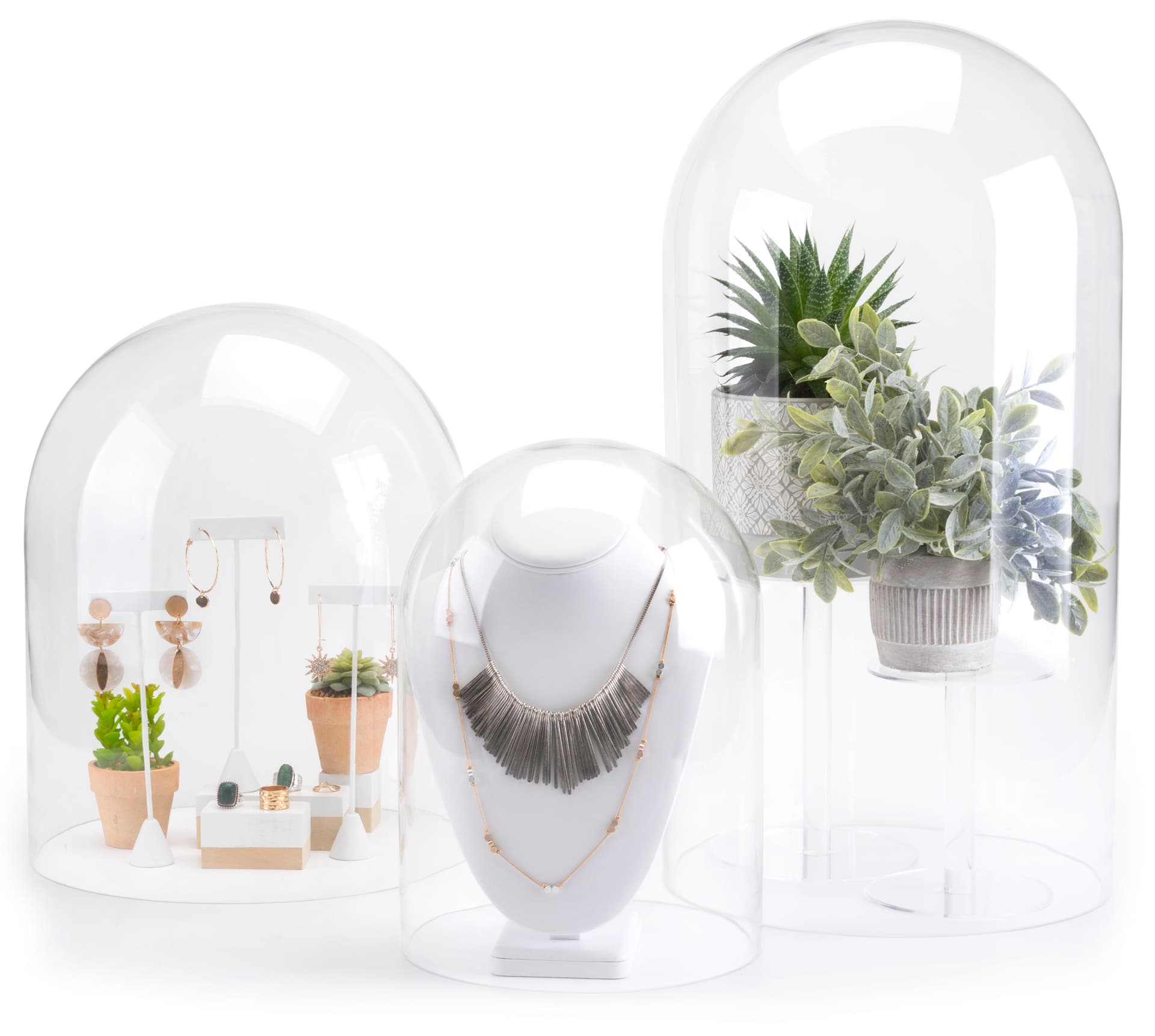 Baseless eighth inch thick glass display cloche