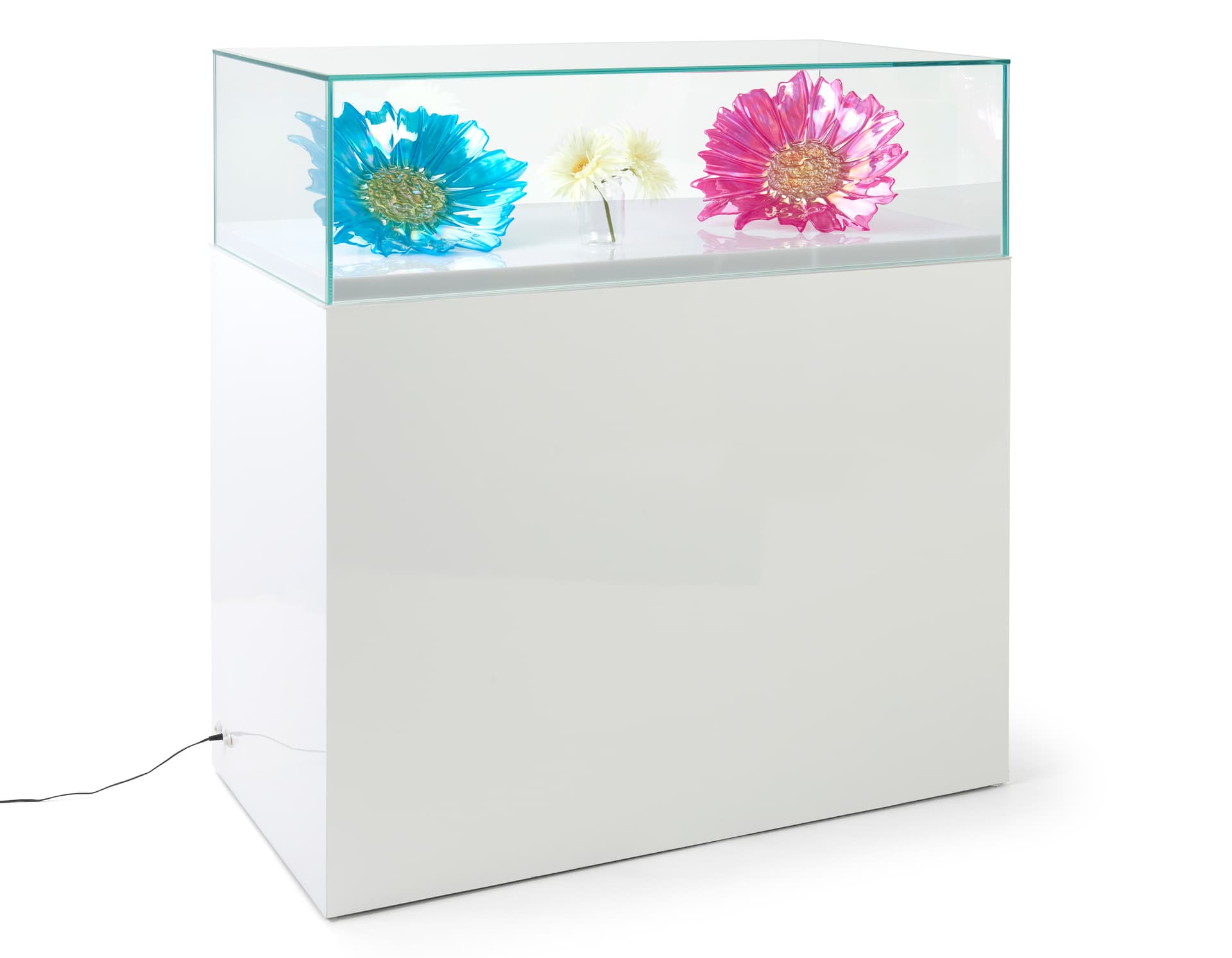 LED exhibit showcase with 39.3 inch x 11.8 inch glass topper 