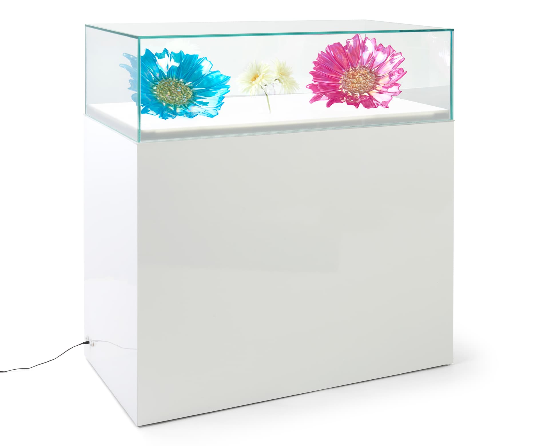 39.3 inch x 40.3 inch LED exhibit showcase