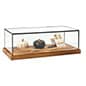 5.8" Countertop Display w/ Lift-Off Top, Black Copper Edging, Wooden Base - Clear