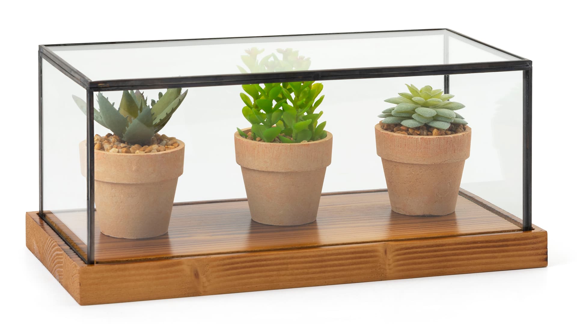 Rustic glass countertop showcase with wooden base