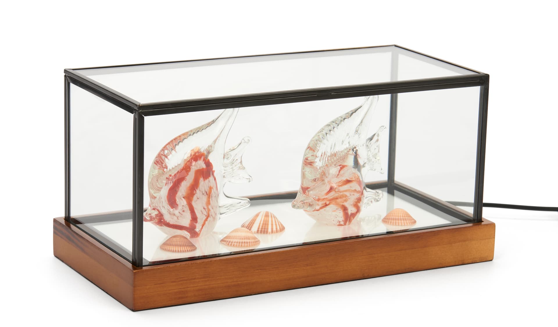 LED glass tabletop display box with 12 inch width