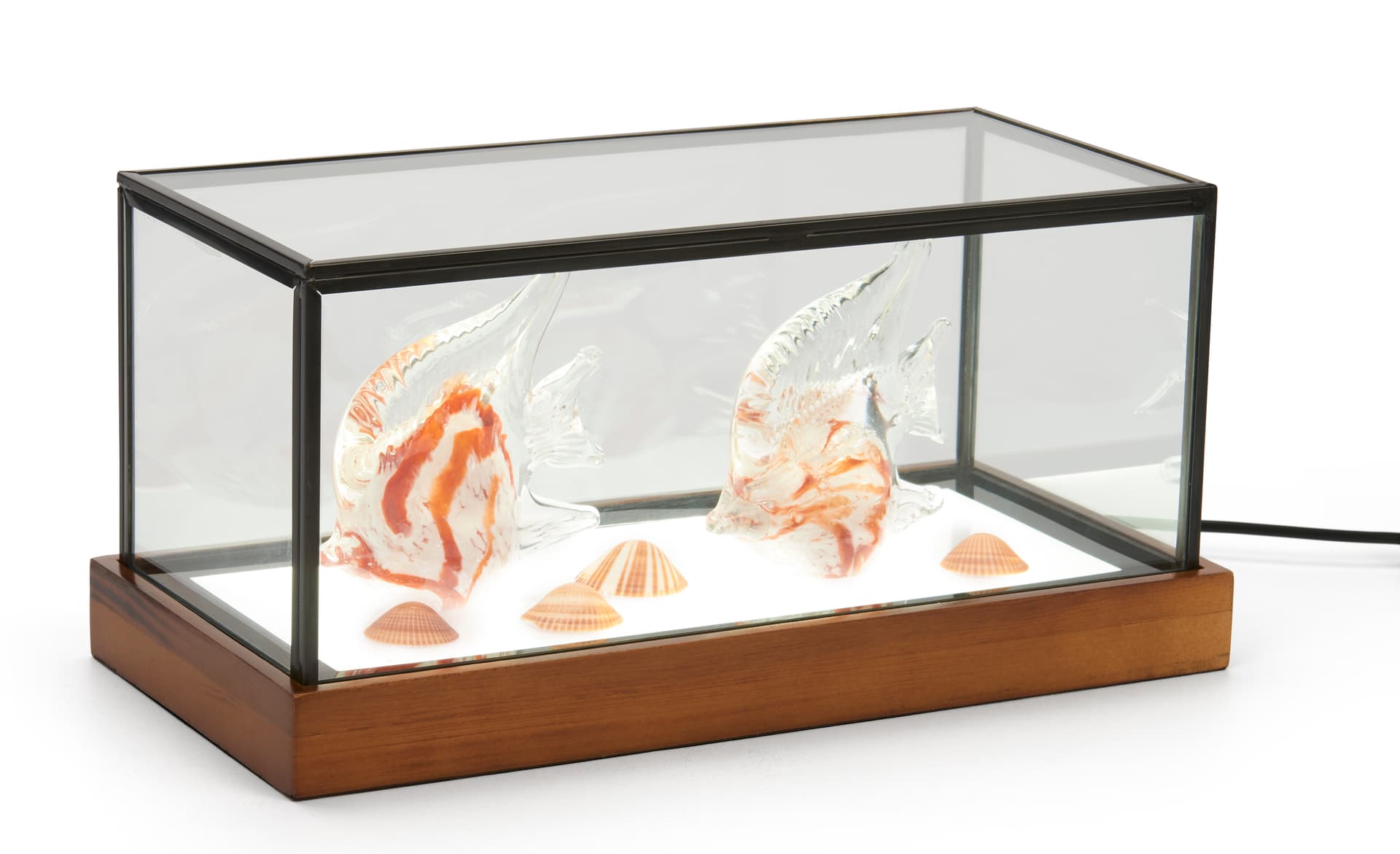 Small LED glass tabletop display box