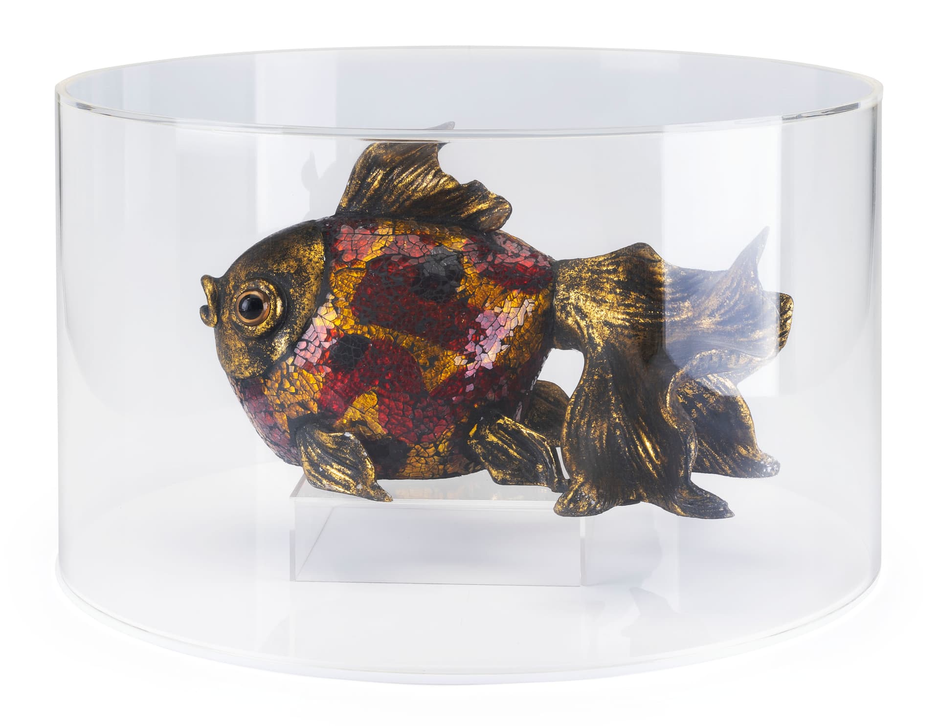 Round Plexiglass Display Case | Clear Lift-Off Style Cover | Displays2Go