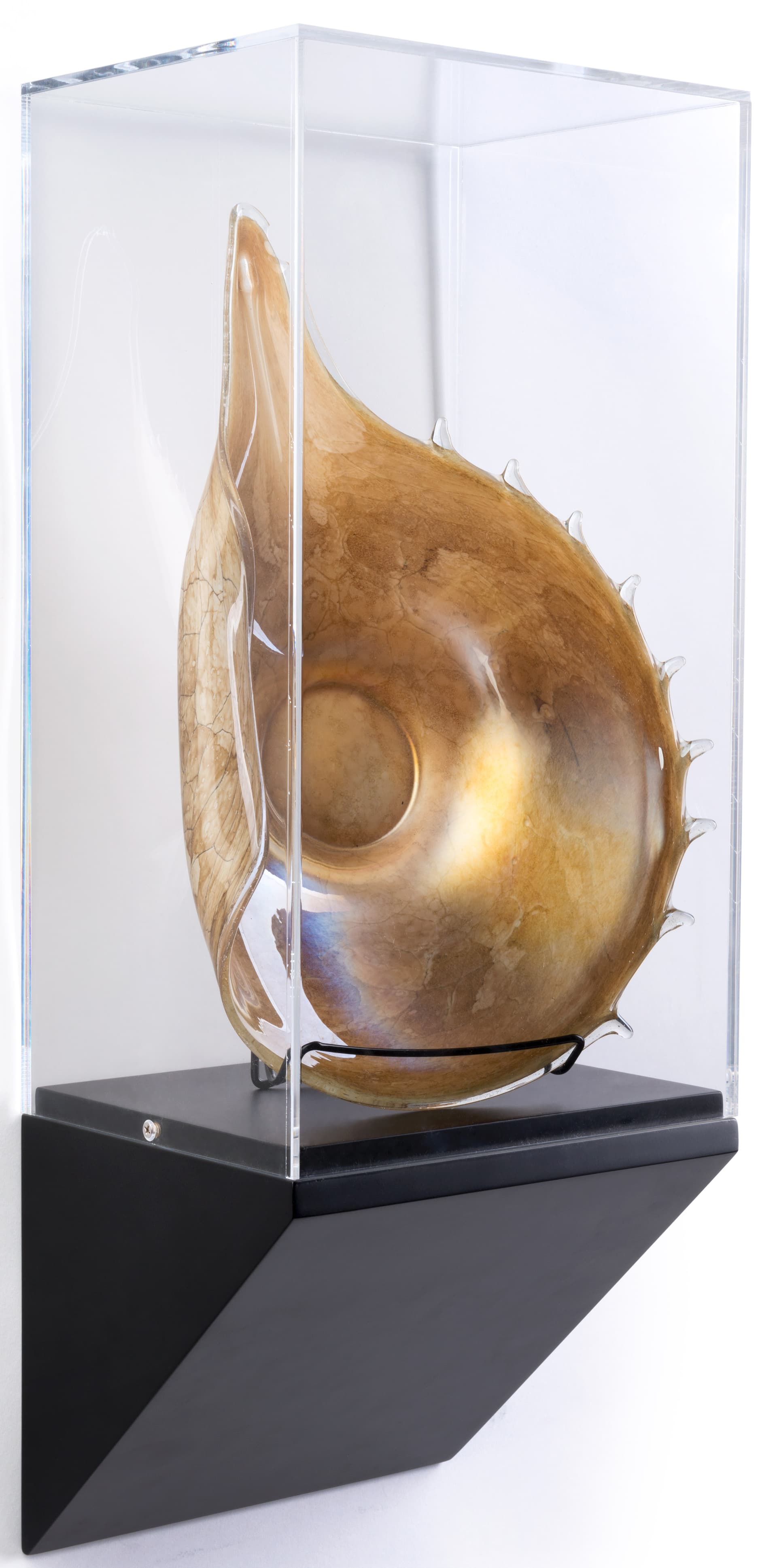 Museum pedestal wedge wall case with tapered modern-style base