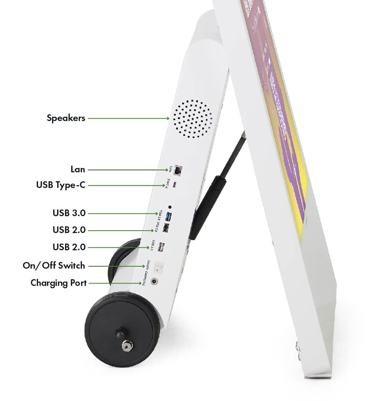 Graphic image depicting features