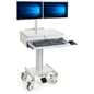 Computer Cart for (2) 15” -23” Screens, Height Adjustable, Locking Drawer – Gray