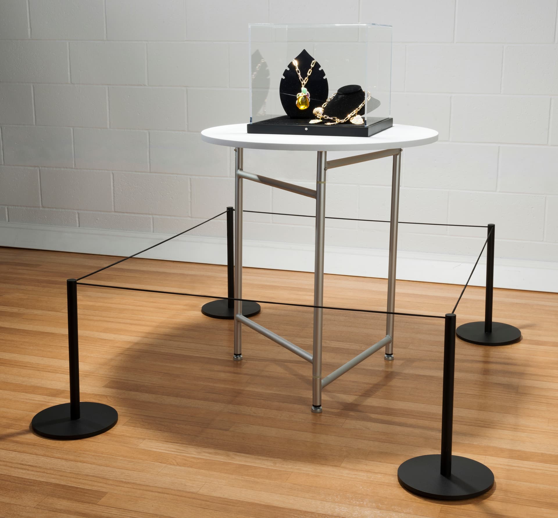 Museum Display using 8-Barrier Black Low Profile Stanchion System