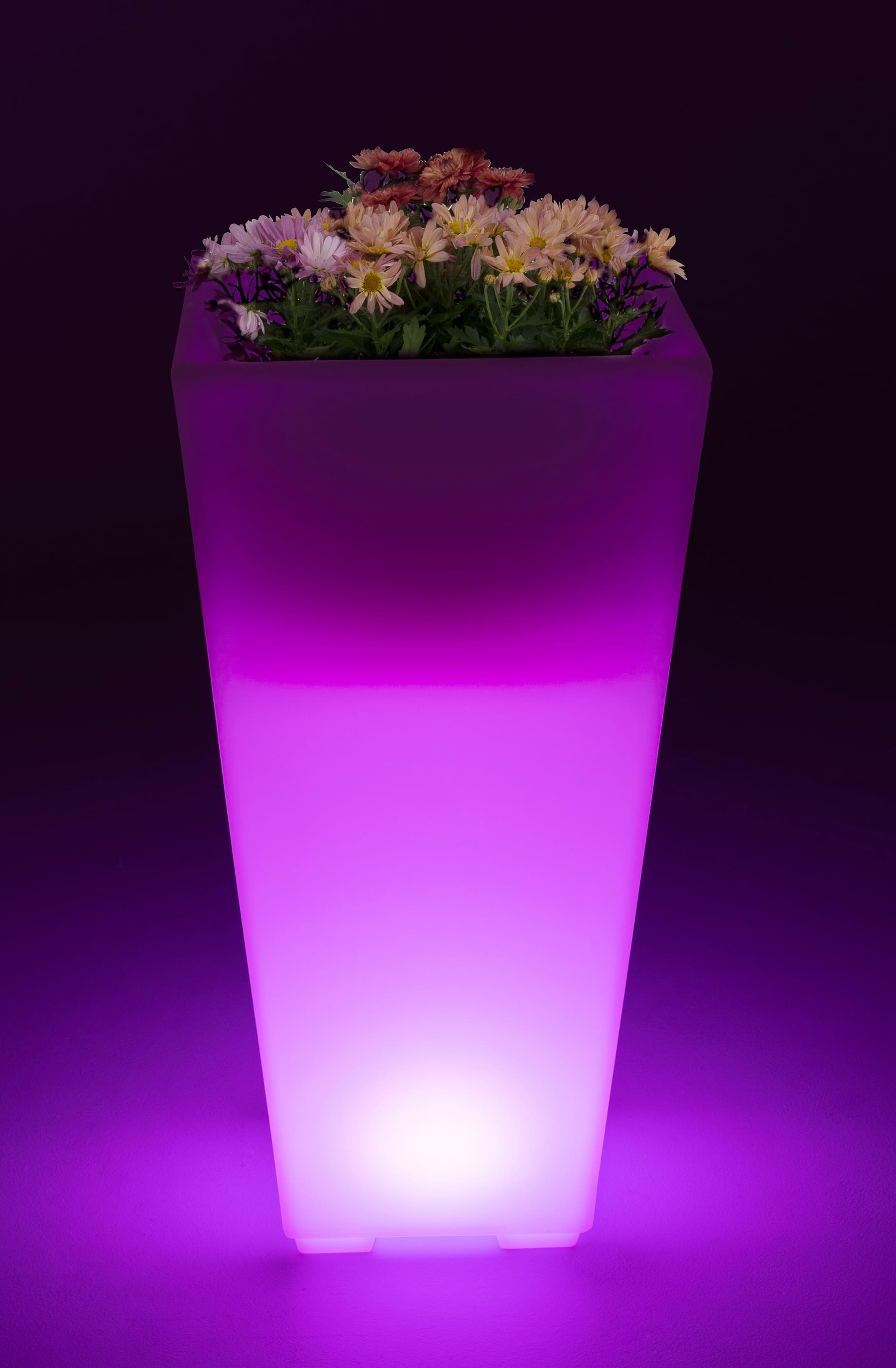 Large LED ice bucket pot  with purple illumination and flowers