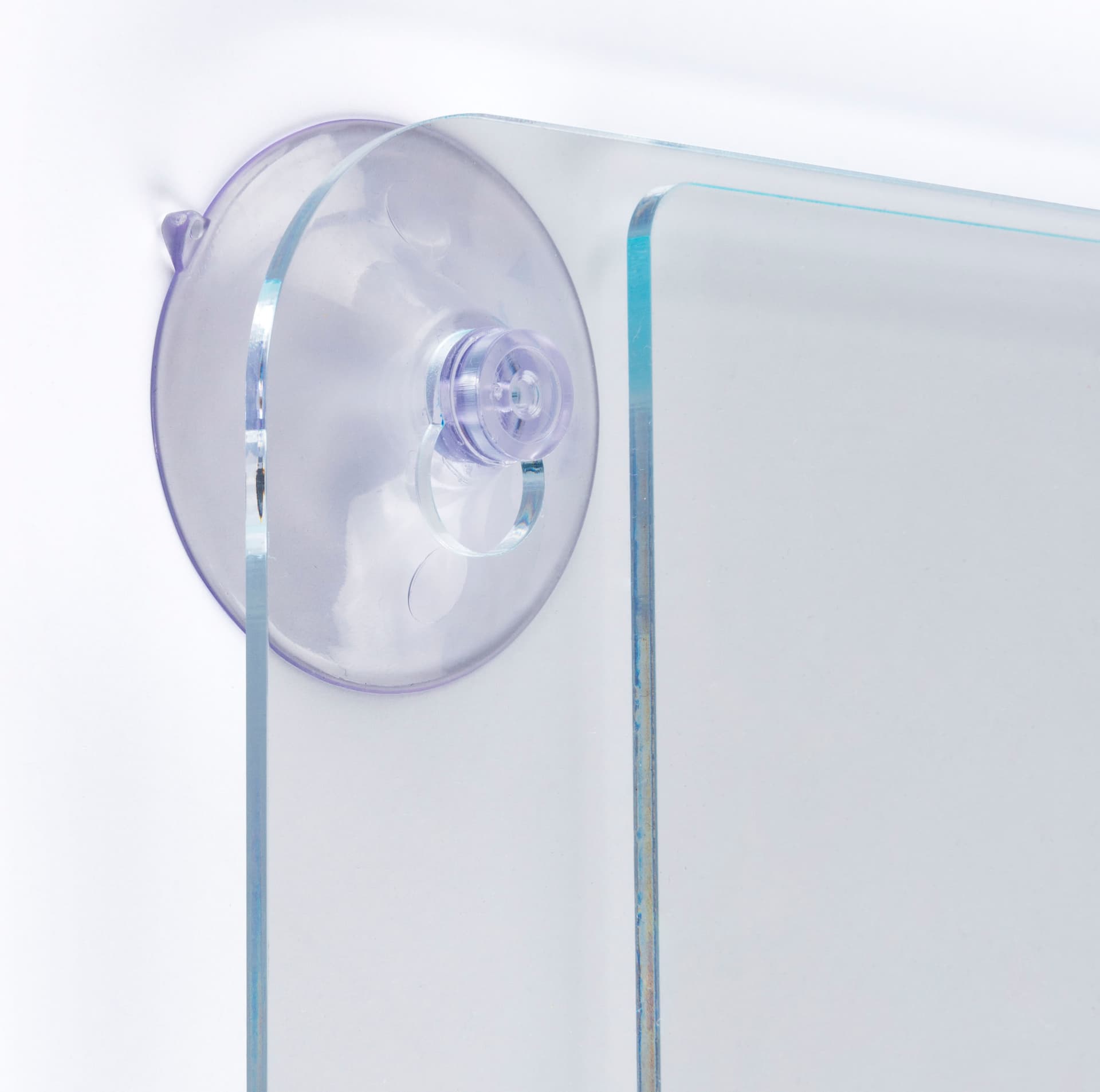 Window sign holder has a glass mount placement 