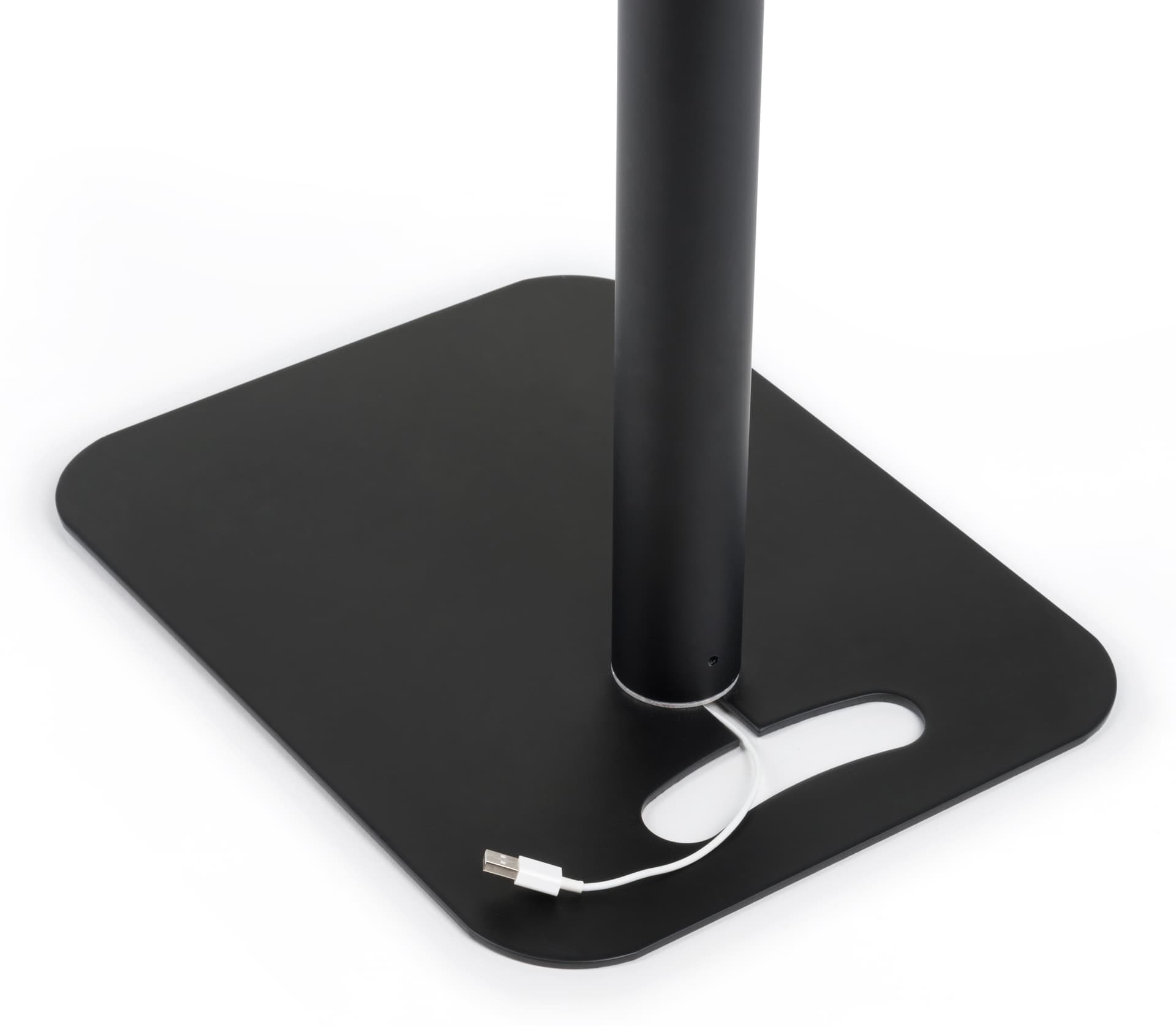 Height adjustable iPad display with graphics has a sturdy base
