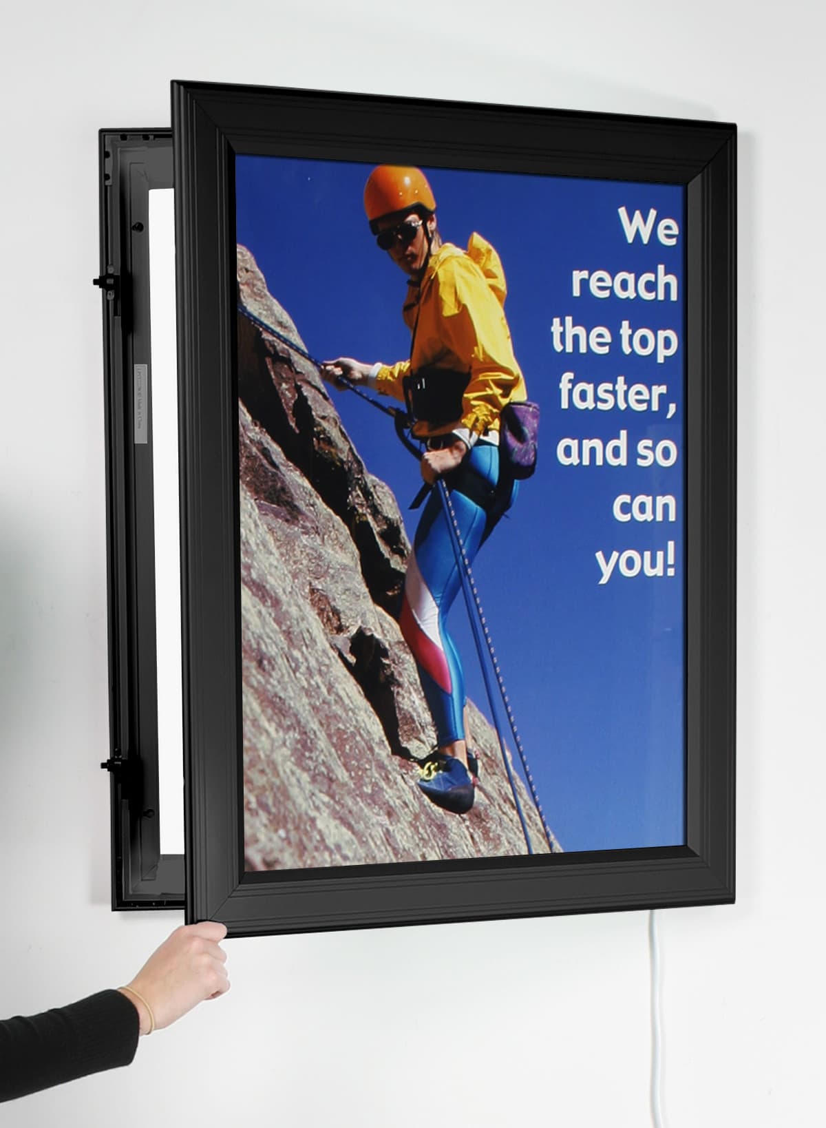24 x 36 T5 Light Box 