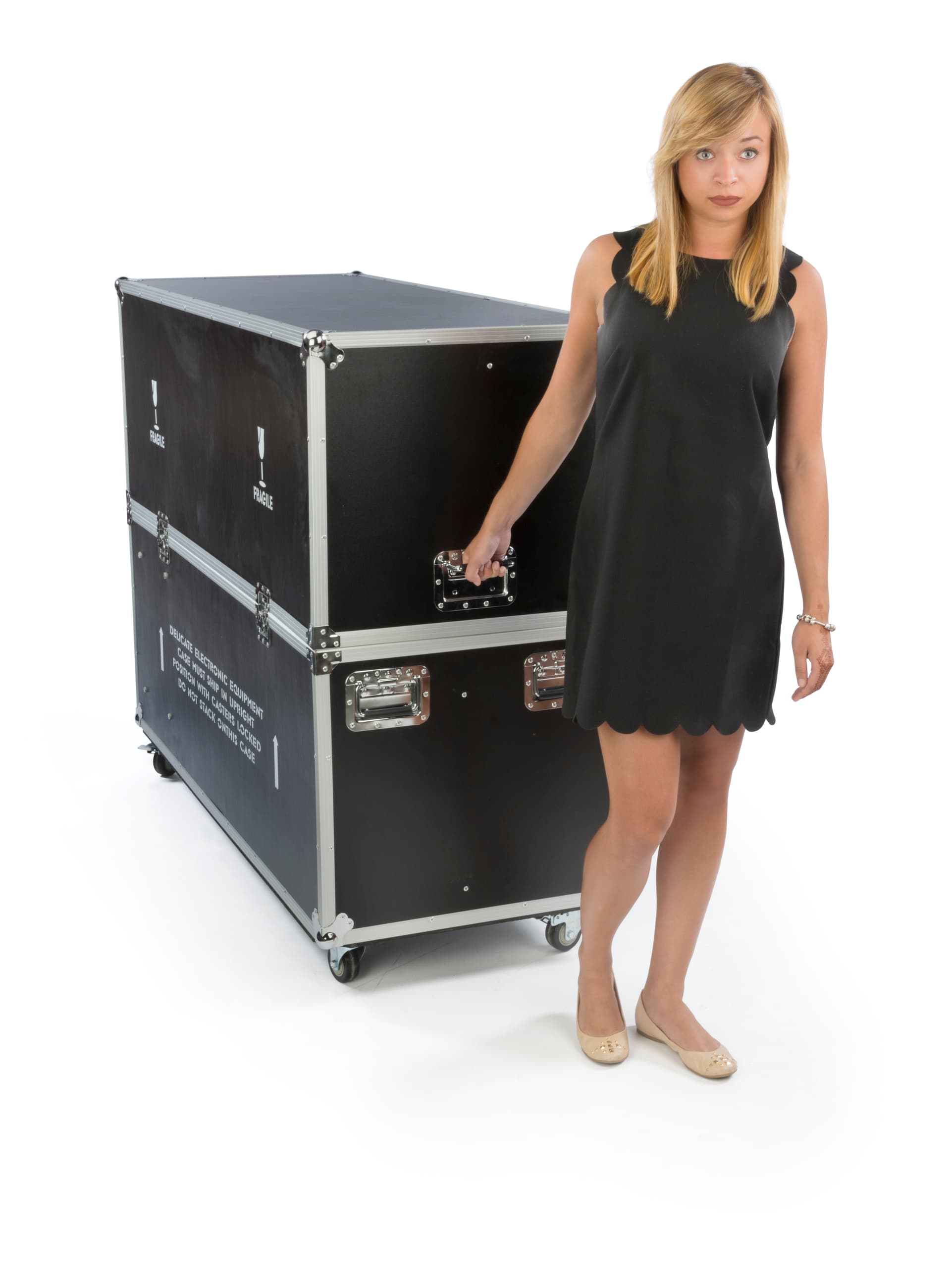 Flat Screen Storage Case