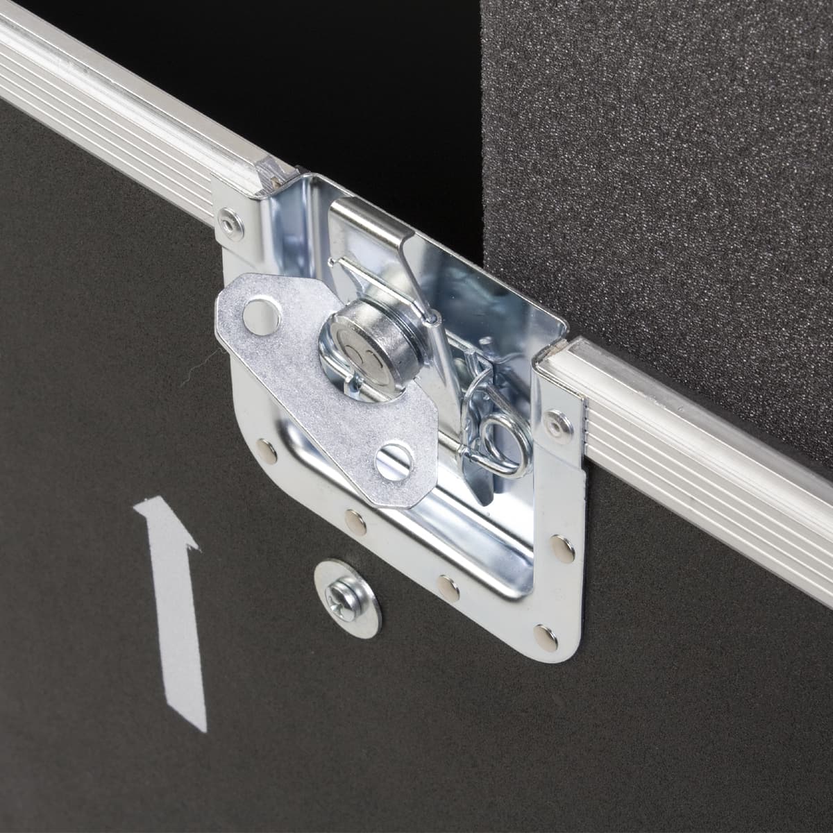 Flat Screen TV Case