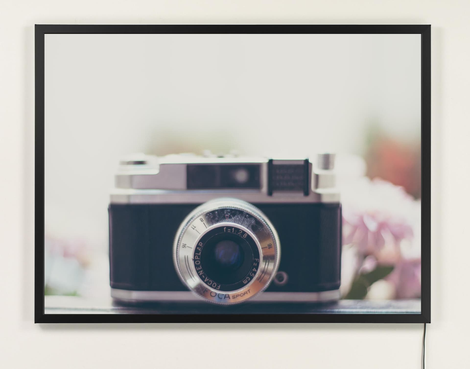 Lightboxes for Store Windows 