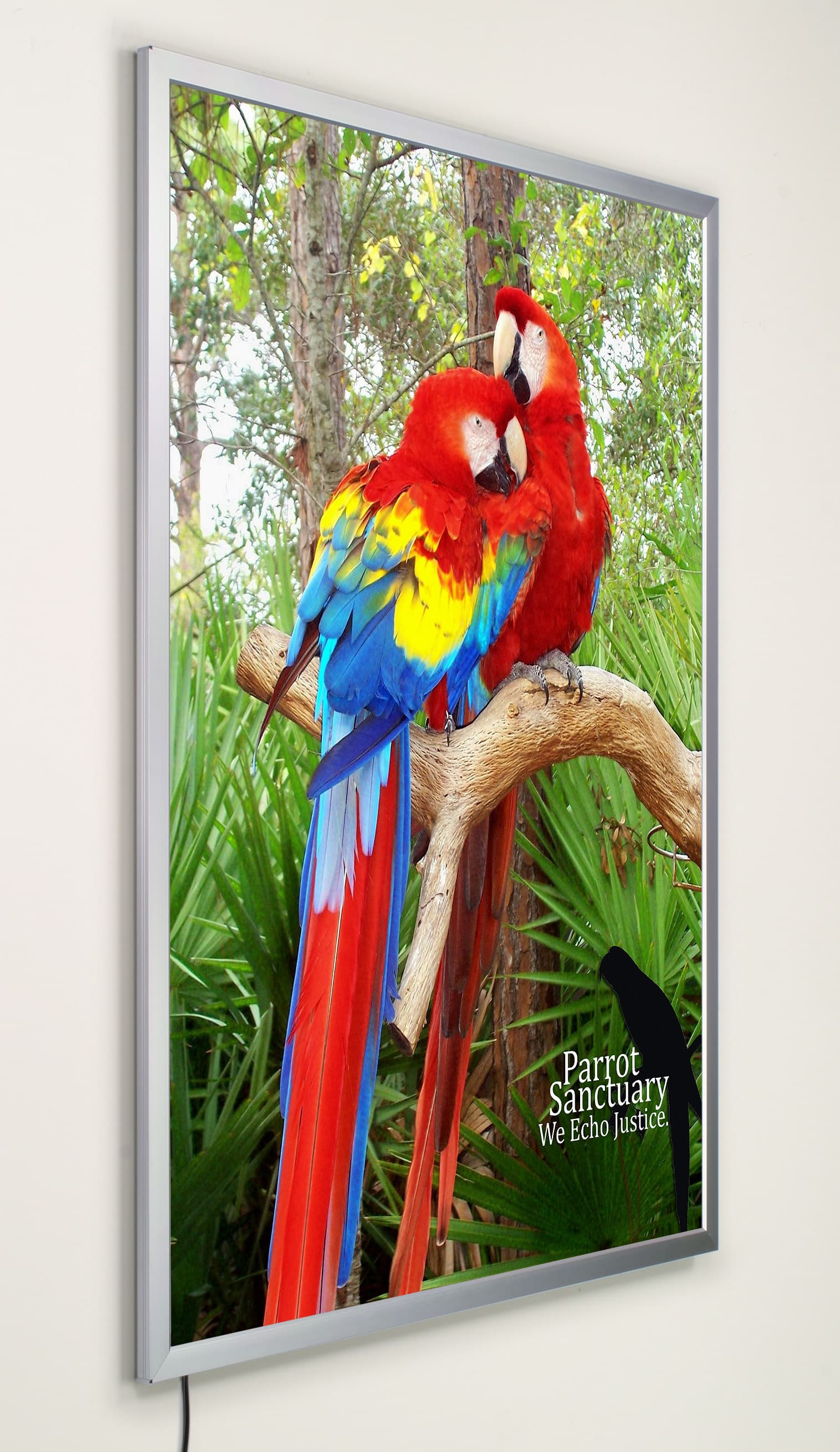 lightbox displays