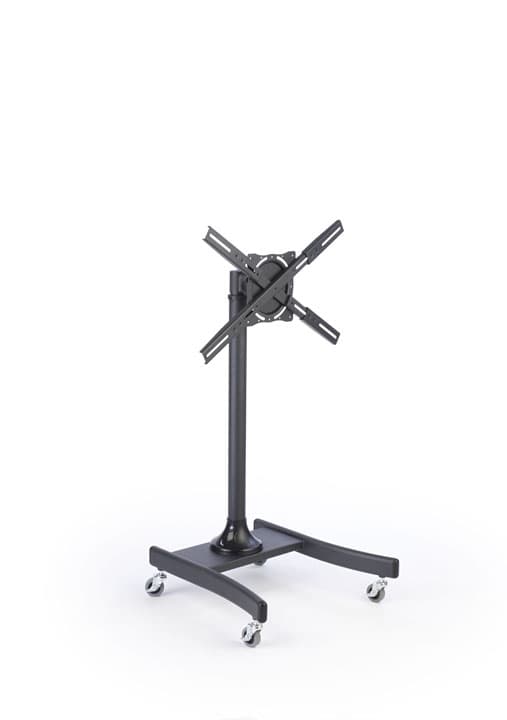 Economy Television Rack