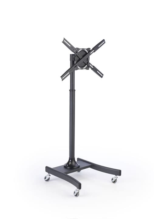 Economy Television Rack