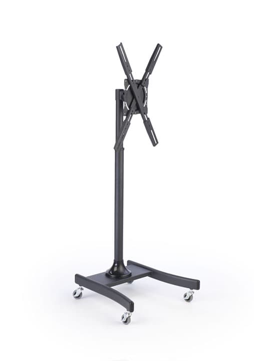 Economy Television Rack