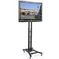 TV Stand with Wheels, Fits Monitors 37 to 65", Height Adjustable – Black