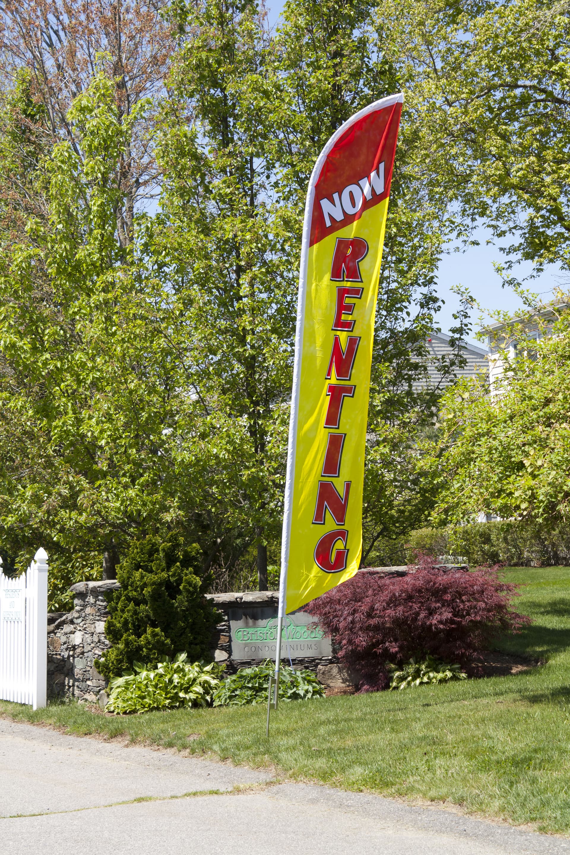 for rent feather flag