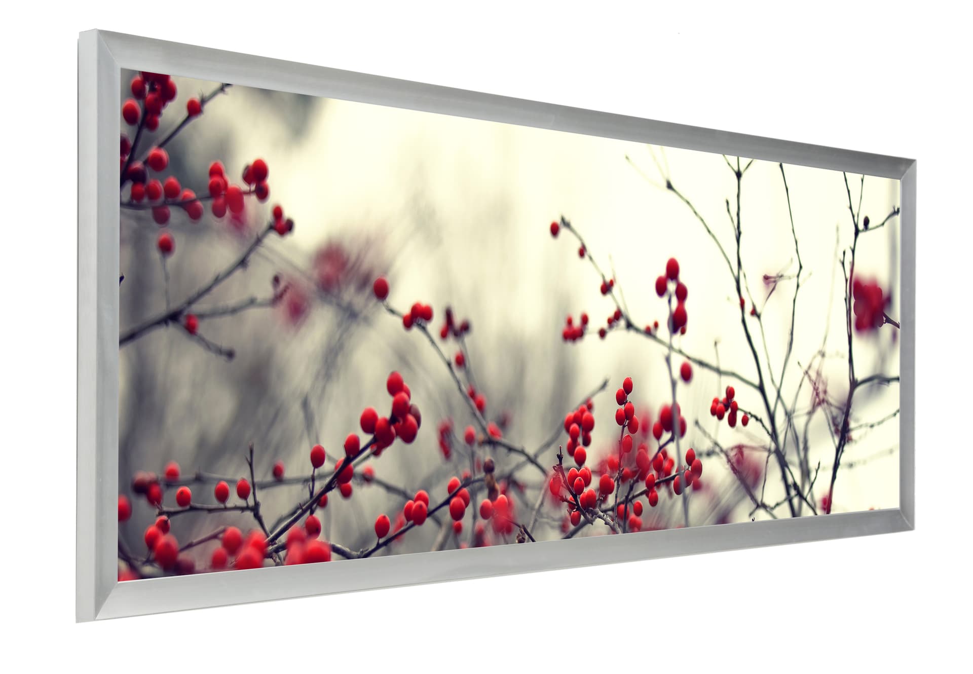 Silver Panoramic Picture Frame 