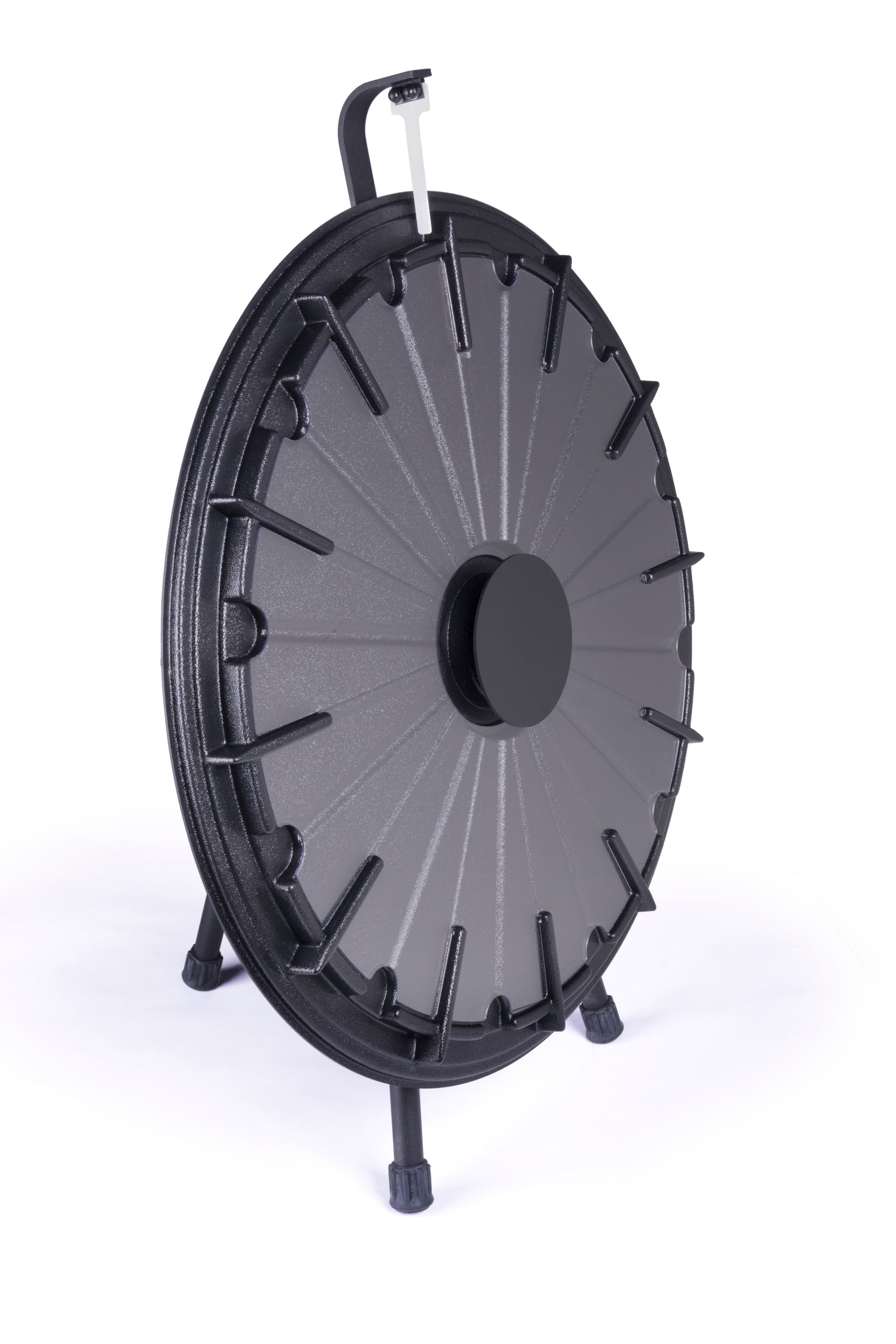 Spin and Win Prize Wheel with 12 Slots