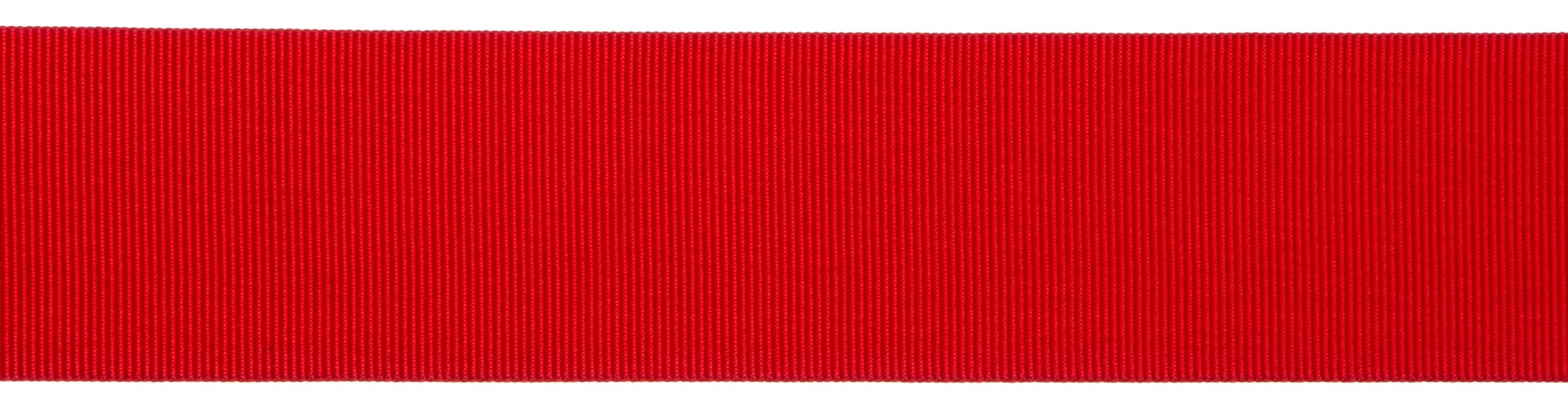 Economy  Red Stanchion Belt 