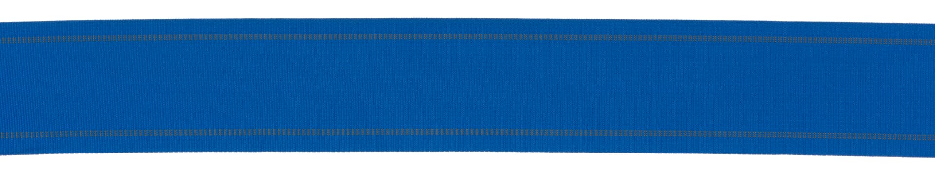 Retractable Blue Crowd Control Belt 