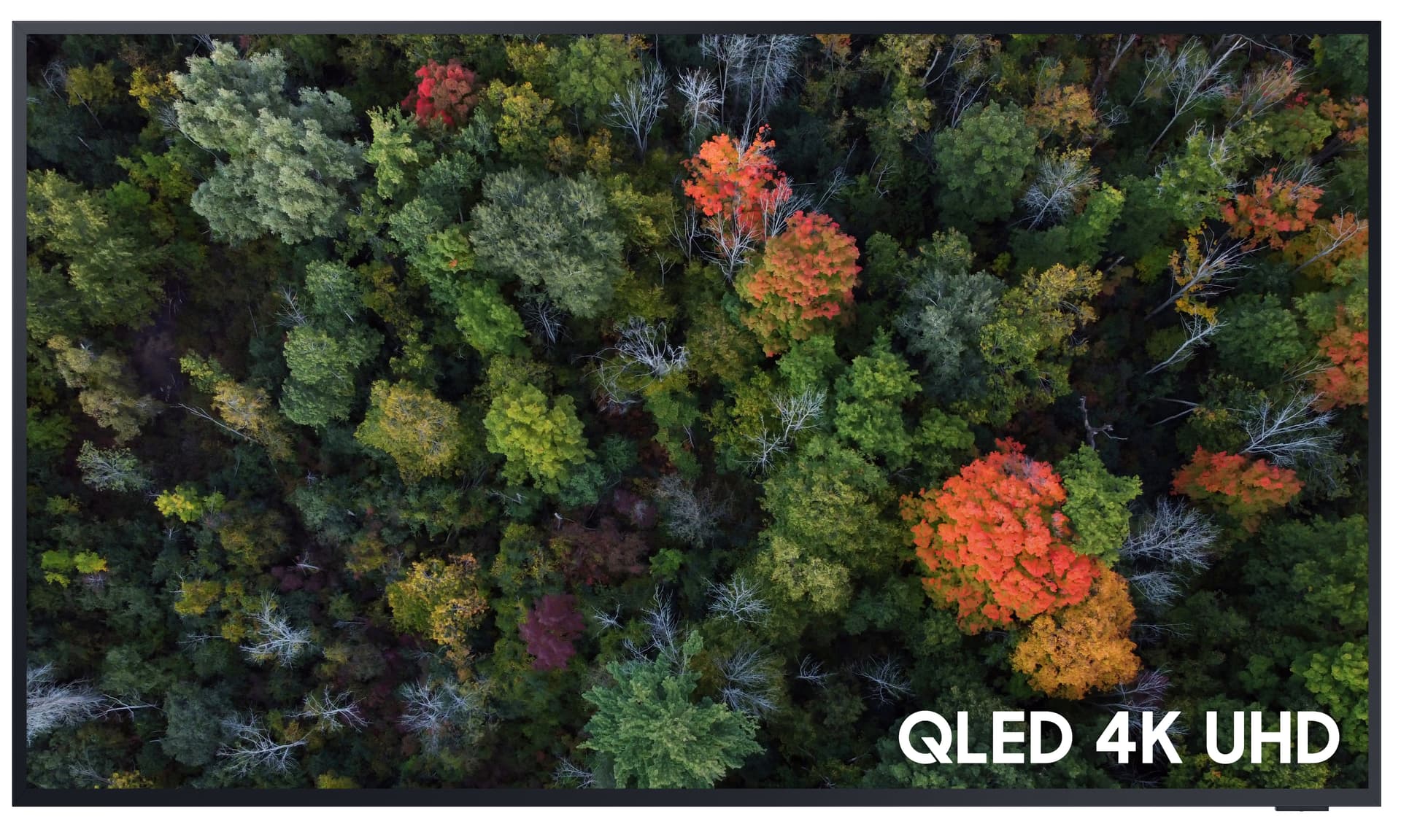 65 inch  weather-resistant outdoor TV with Samsung content management app