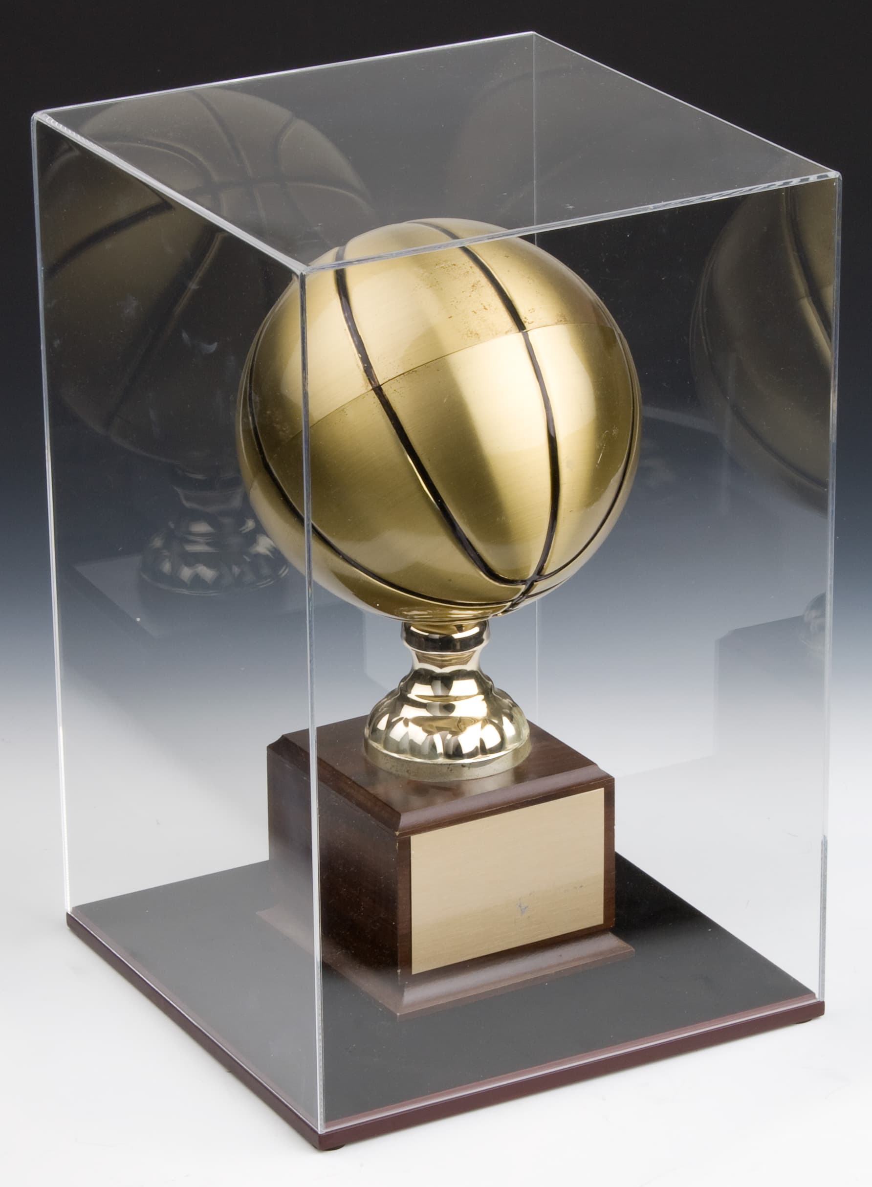Collectible Display: Includes An Acrylic Riser