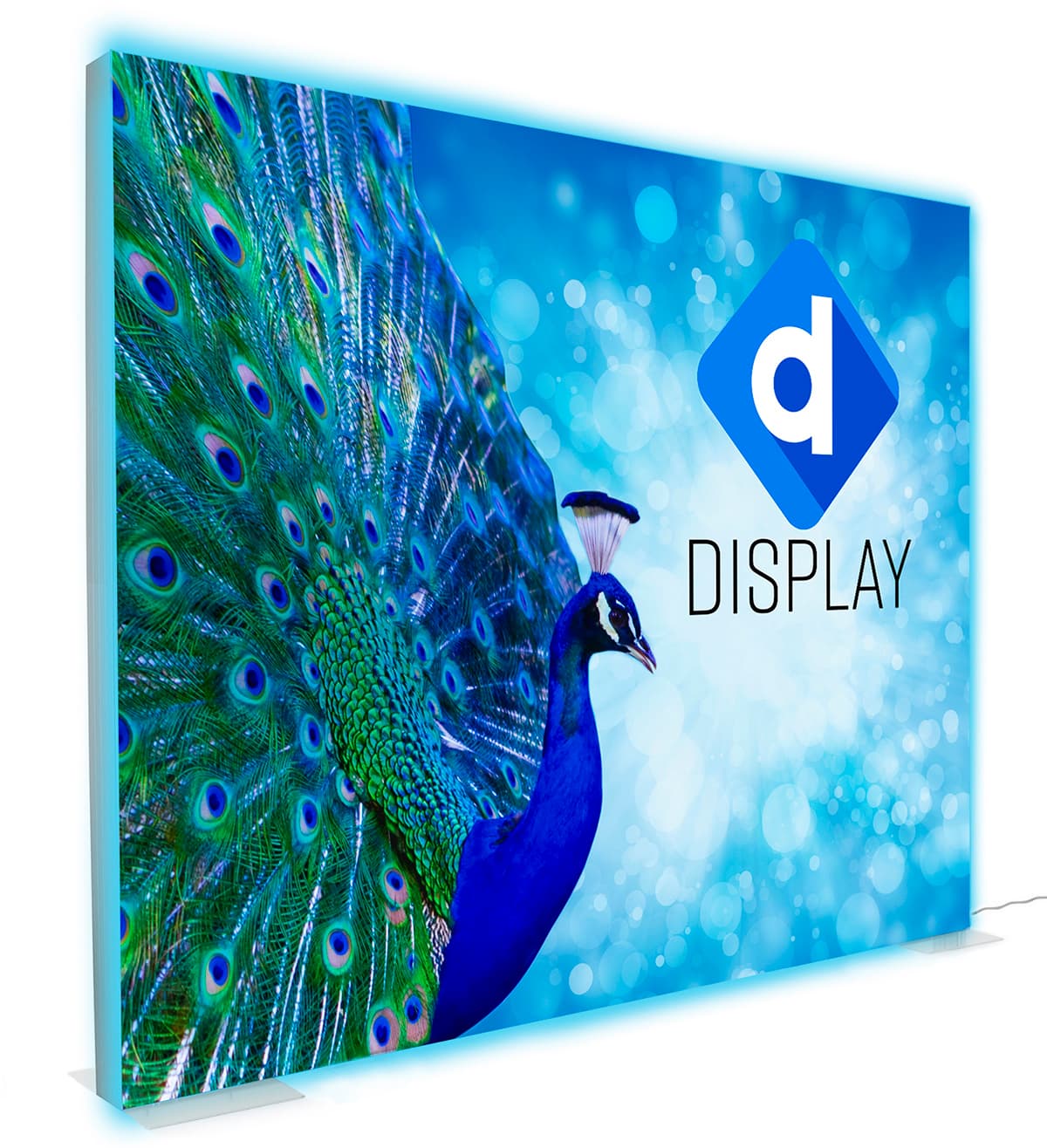 2-sided 8x10 silicone edge backdrop with different art on side 2