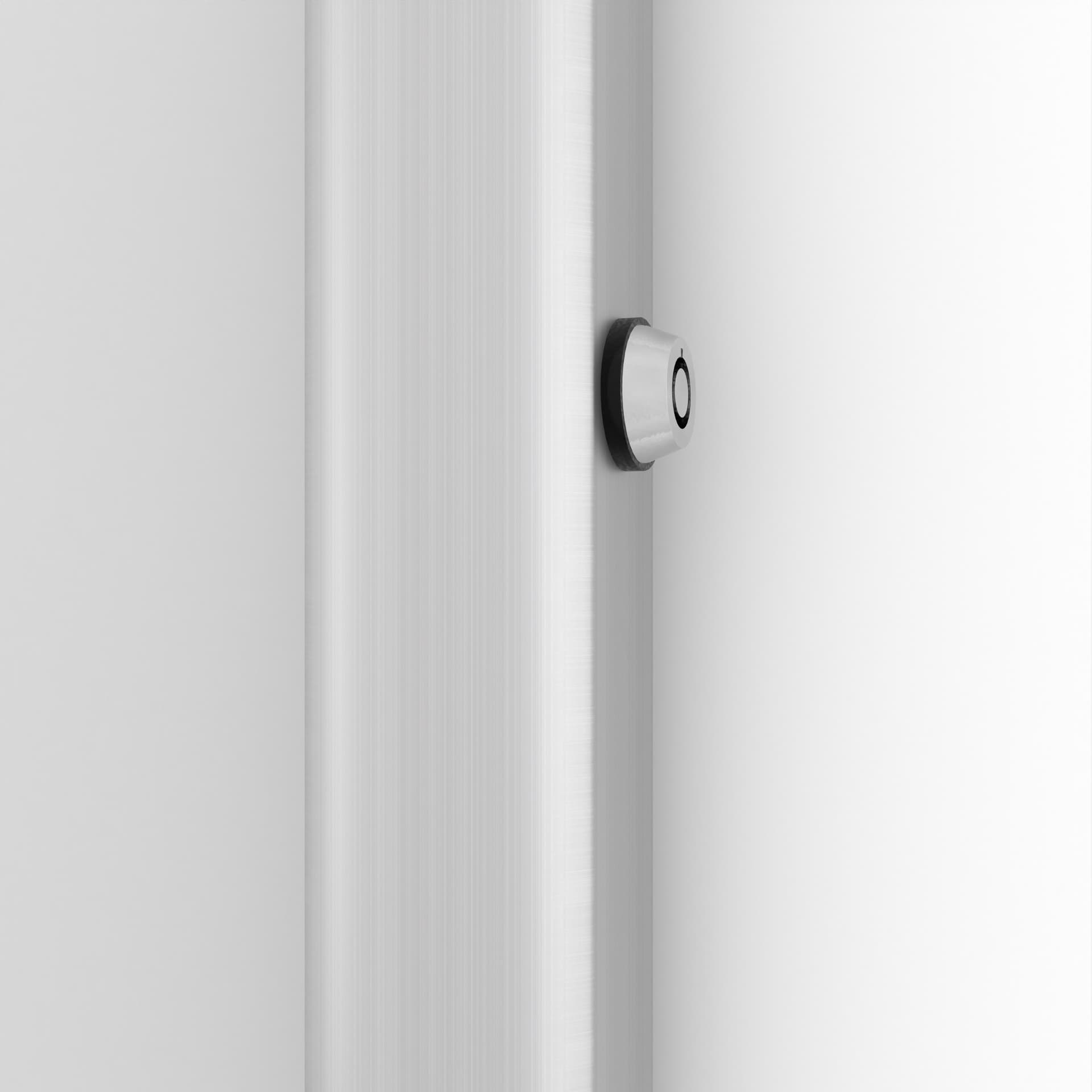 Locking poster holder with plunger lock