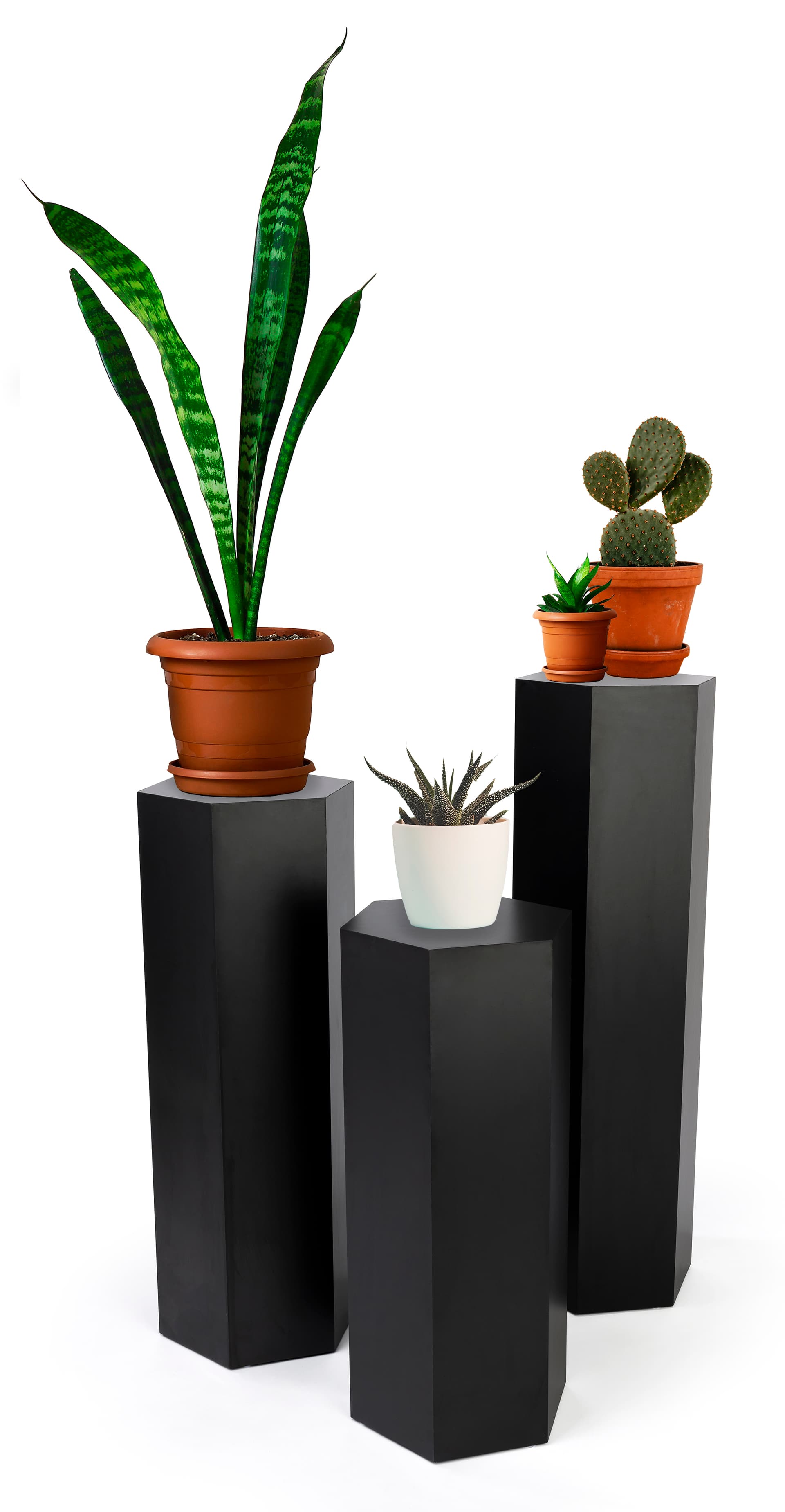 Hexagon museum plinth set with 50 pound max weight capacity per pedestal