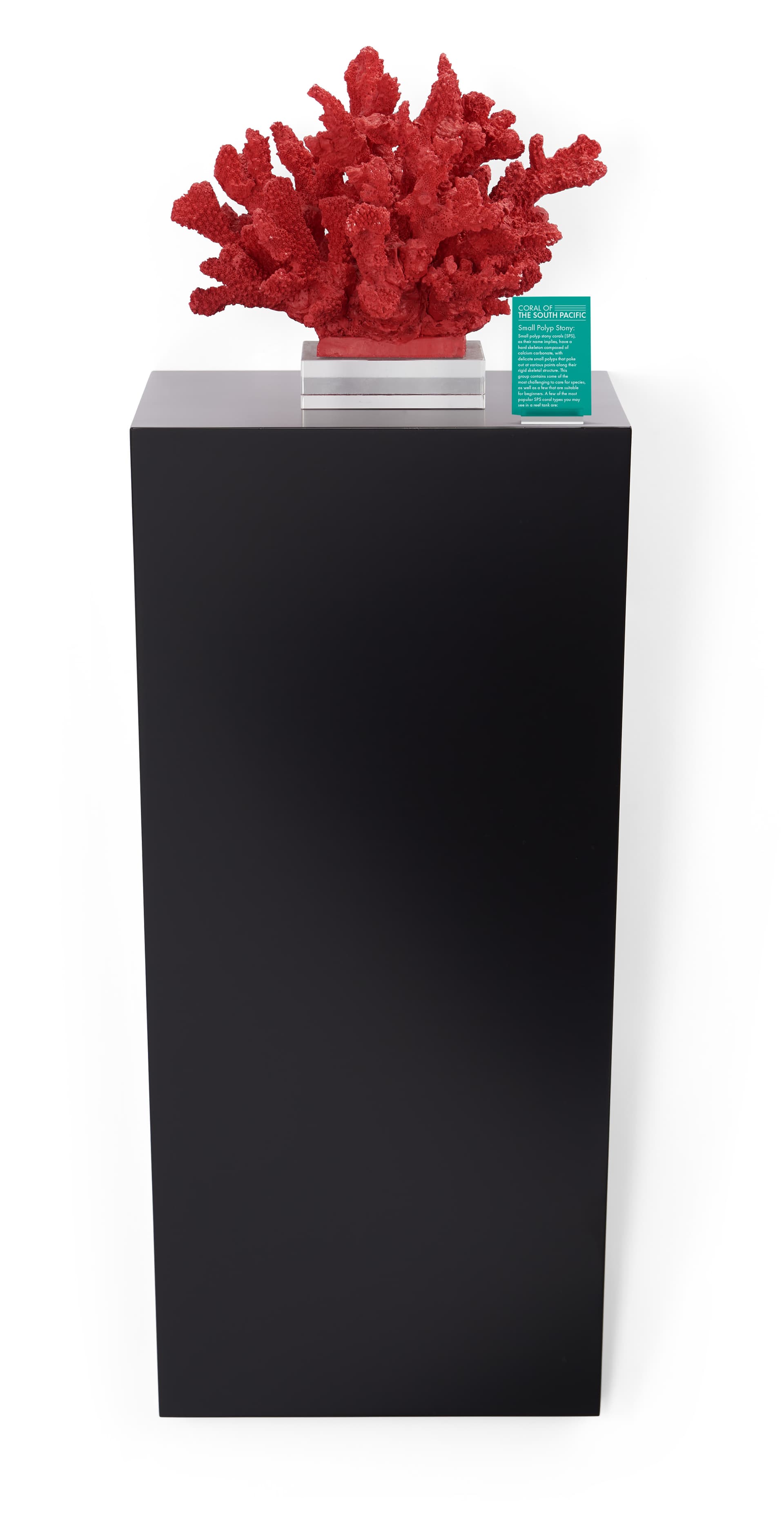 Wedge pedestal shelf with surface area of 12 by 12