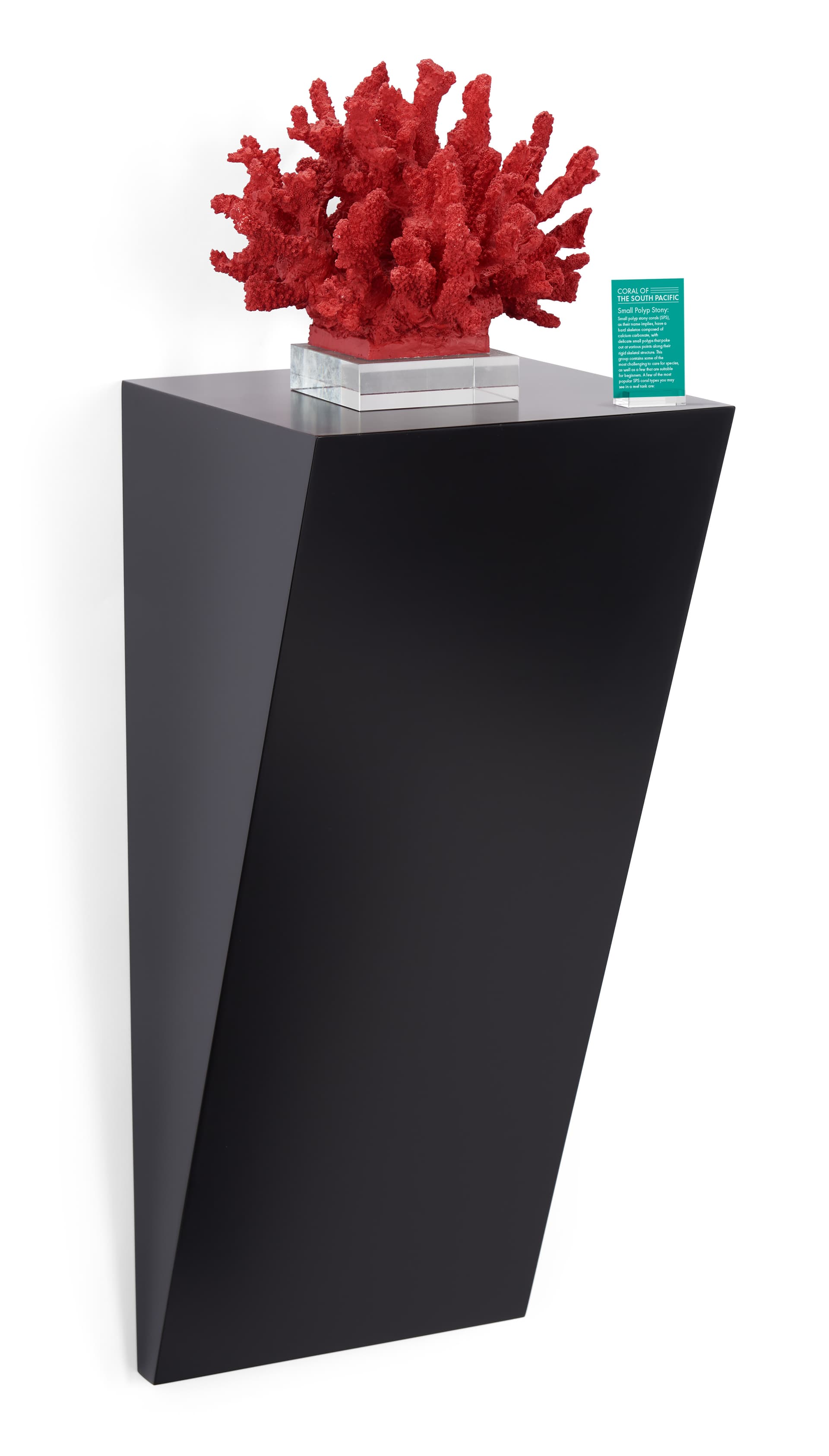 Wedge pedestal shelf with max weight capacity of 50lbs