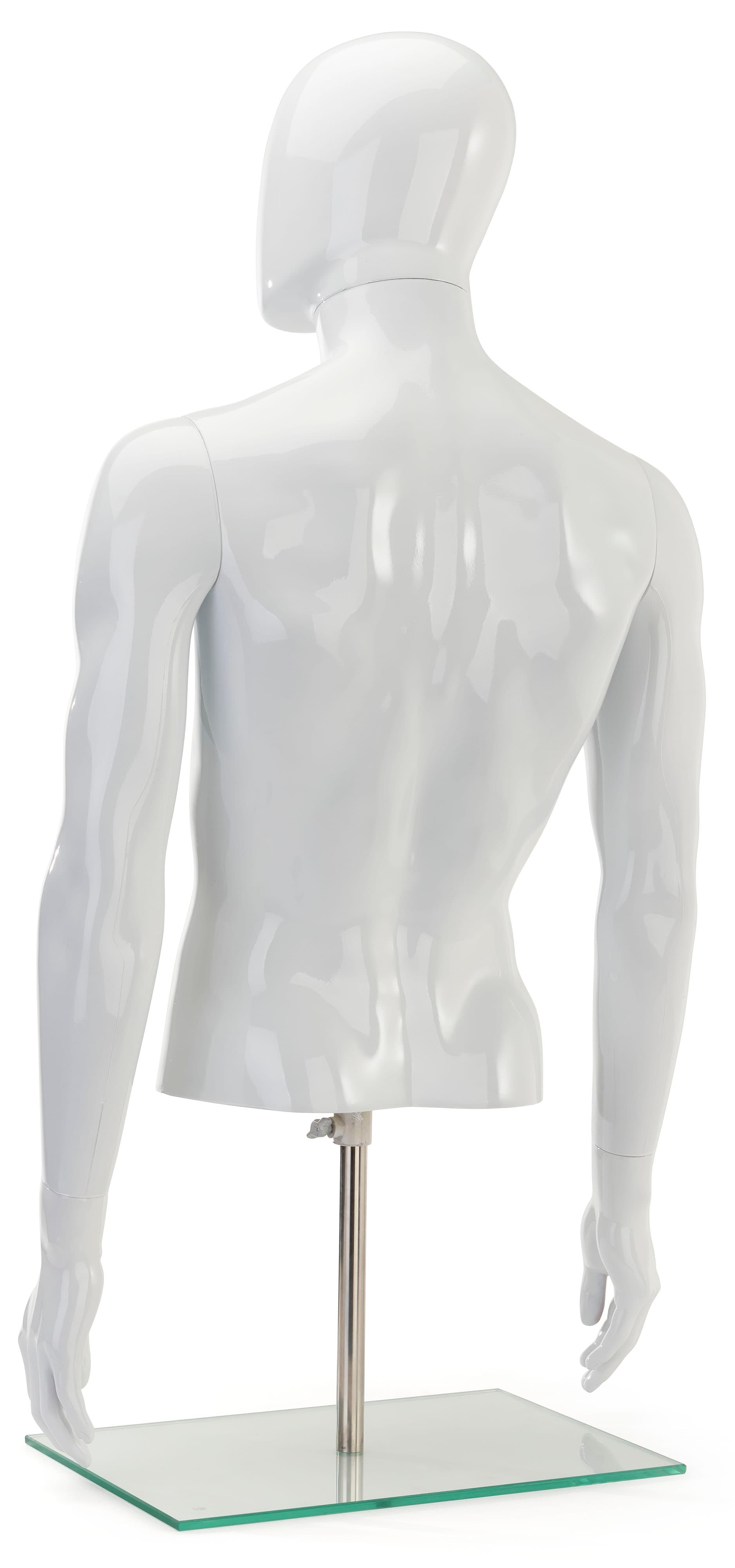 Male Torso Mannequin
